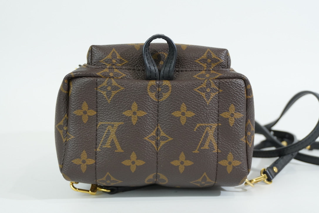 Pre-owned Louis Vuitton Monogram Mini Palmspring Backpack