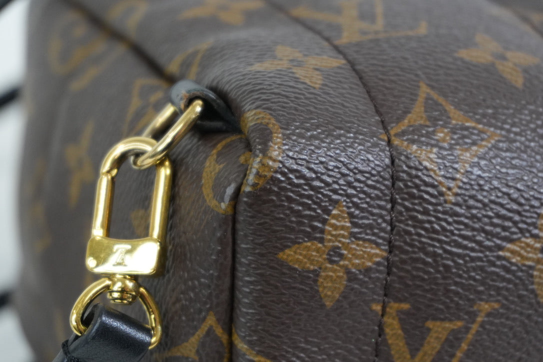 Pre-owned Louis Vuitton Monogram Mini Palmspring Backpack