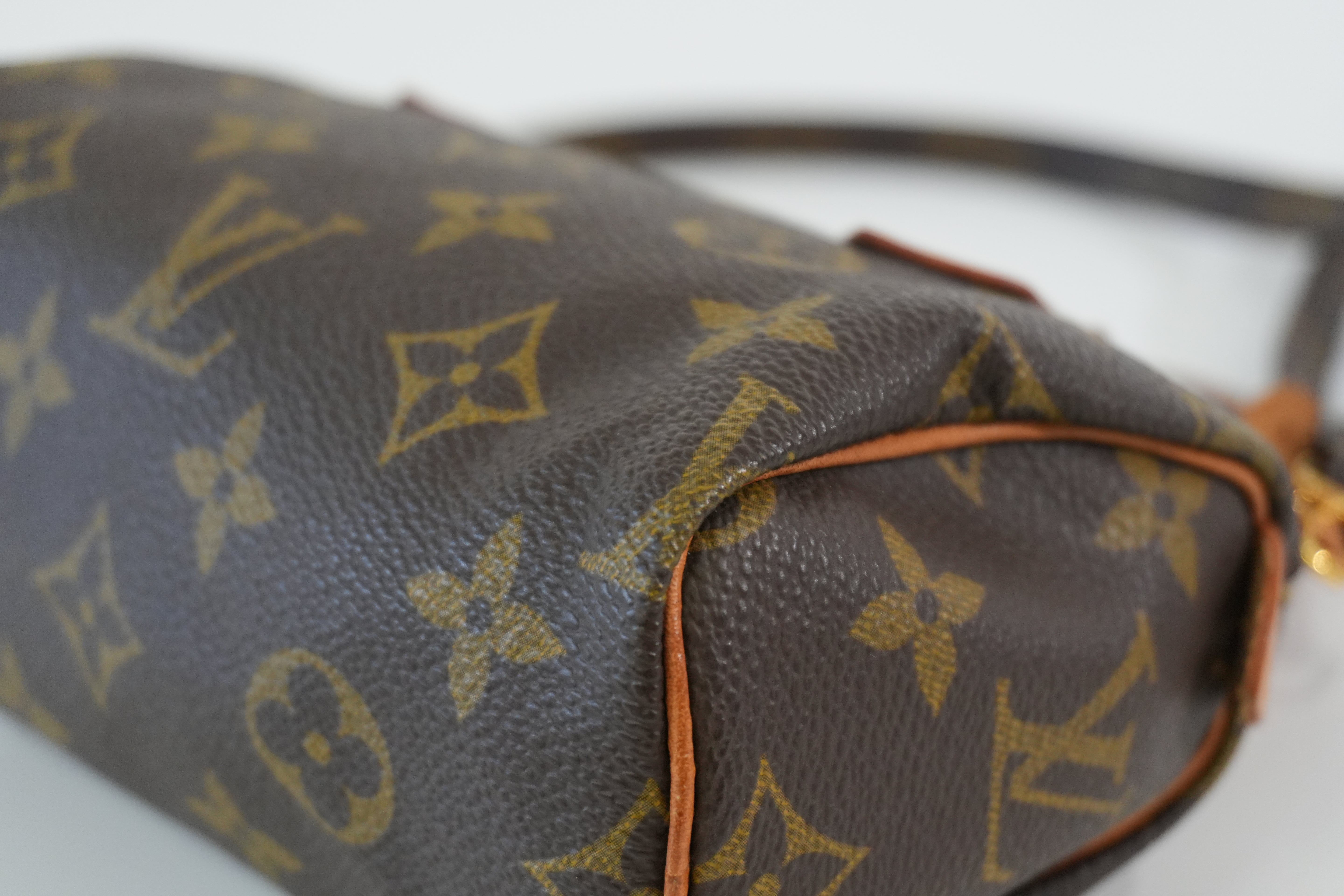 Pre-owned Louis Vuitton Monogram Mini Speedy Handbag
