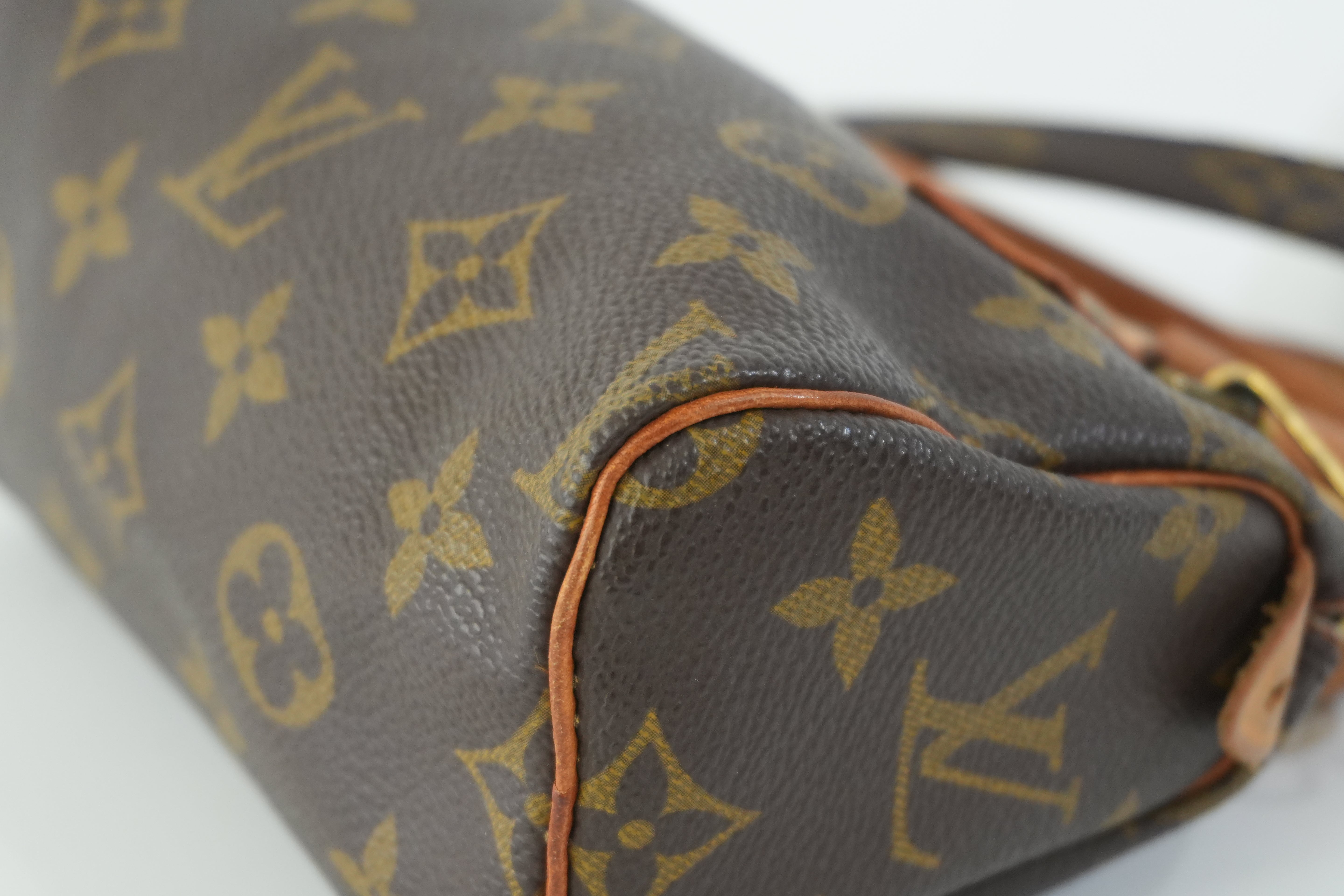 Pre-owned Louis Vuitton Monogram Mini Speedy with Strap