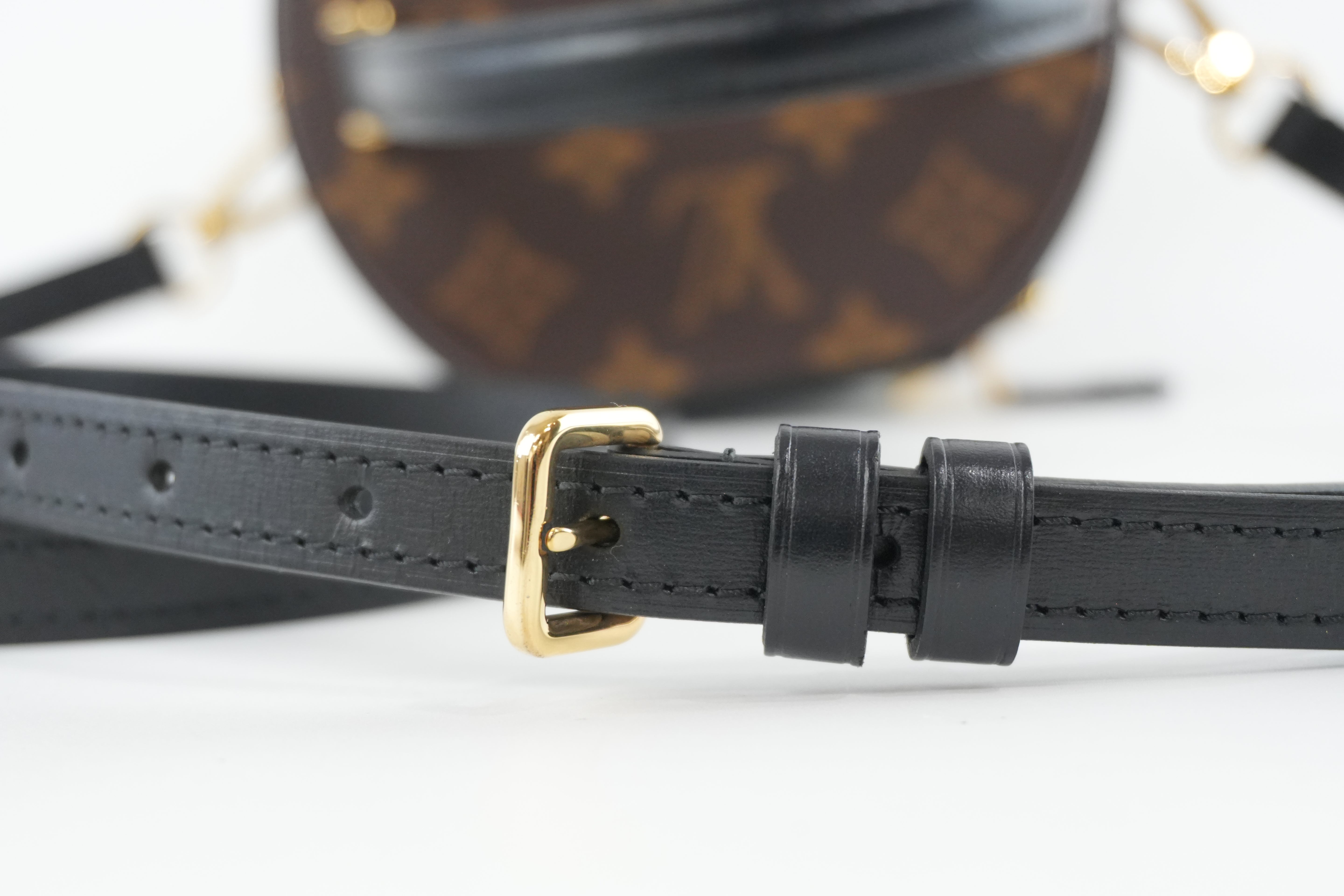 Louis Vuitton Monogram Cannes Reverse Vanity Shoulder Bag Used