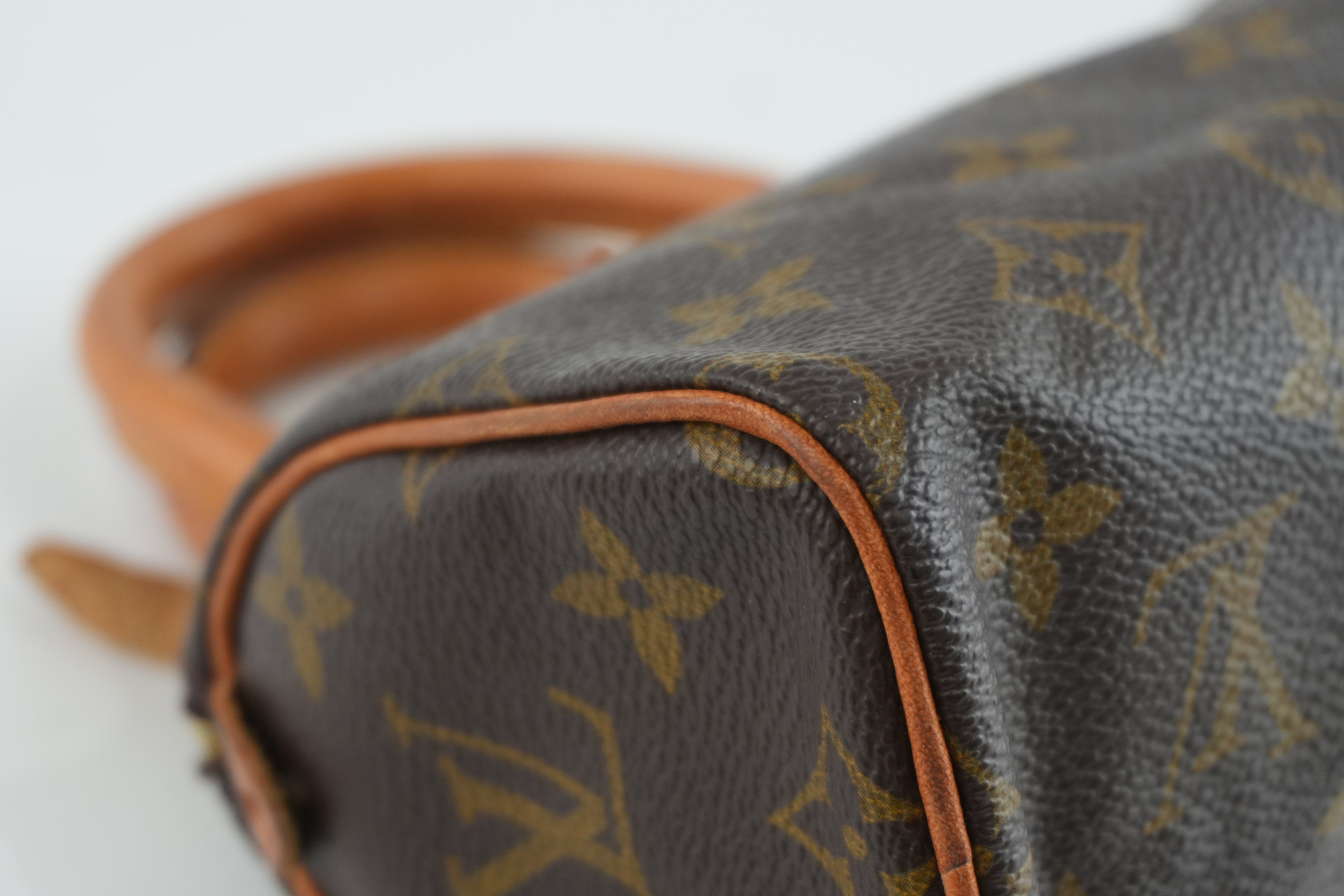 Pre-owned Louis Vuitton Monogram Mini Speedy Handbag