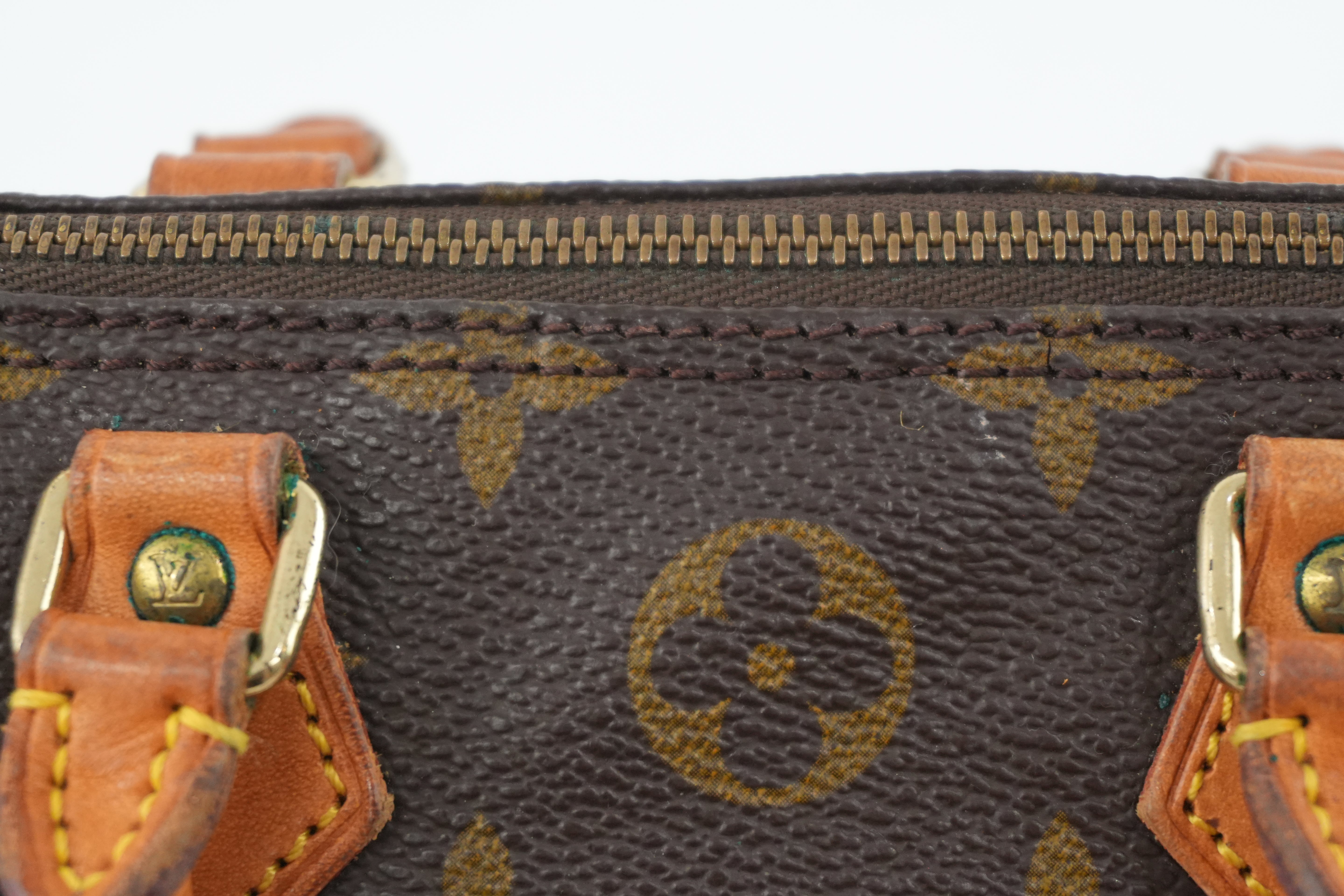 Pre-owned Louis Vuitton Monogram Mini Speedy Handbag