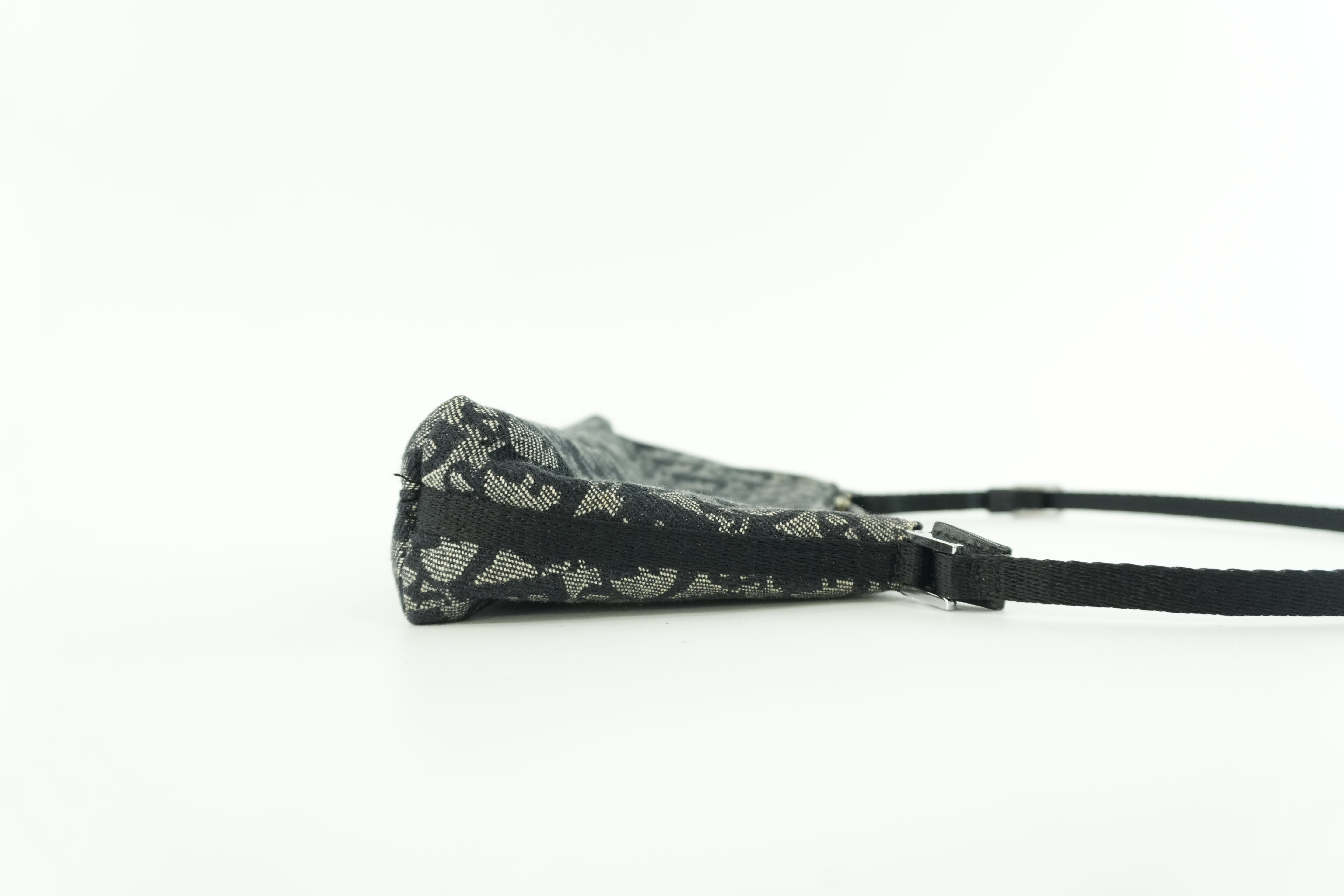 Pre-owned Christian Dior Canvas Trotter Handbag Black