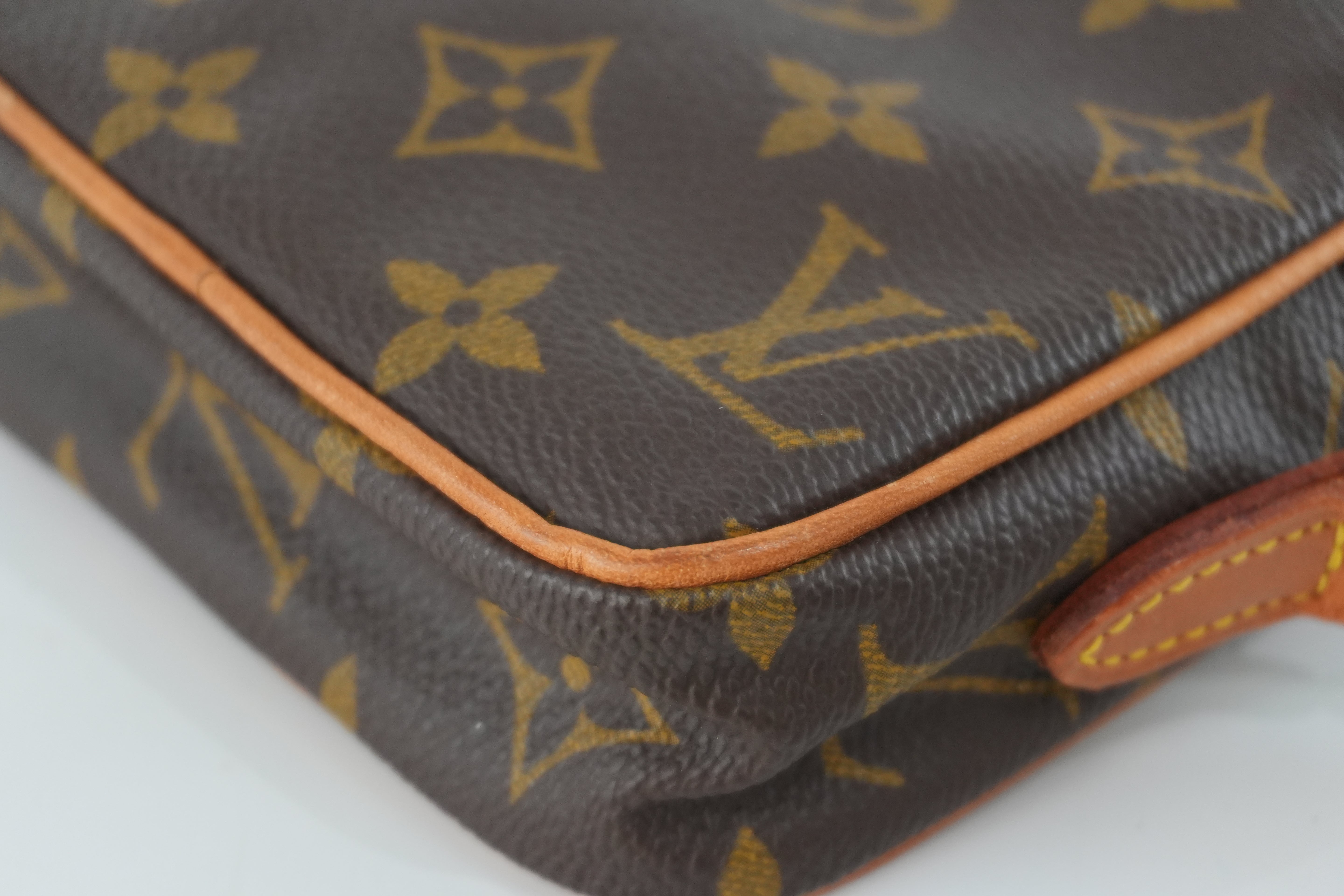 Pre-owned Louis Vuitton Monogram Mini Danube Shoulder Bag