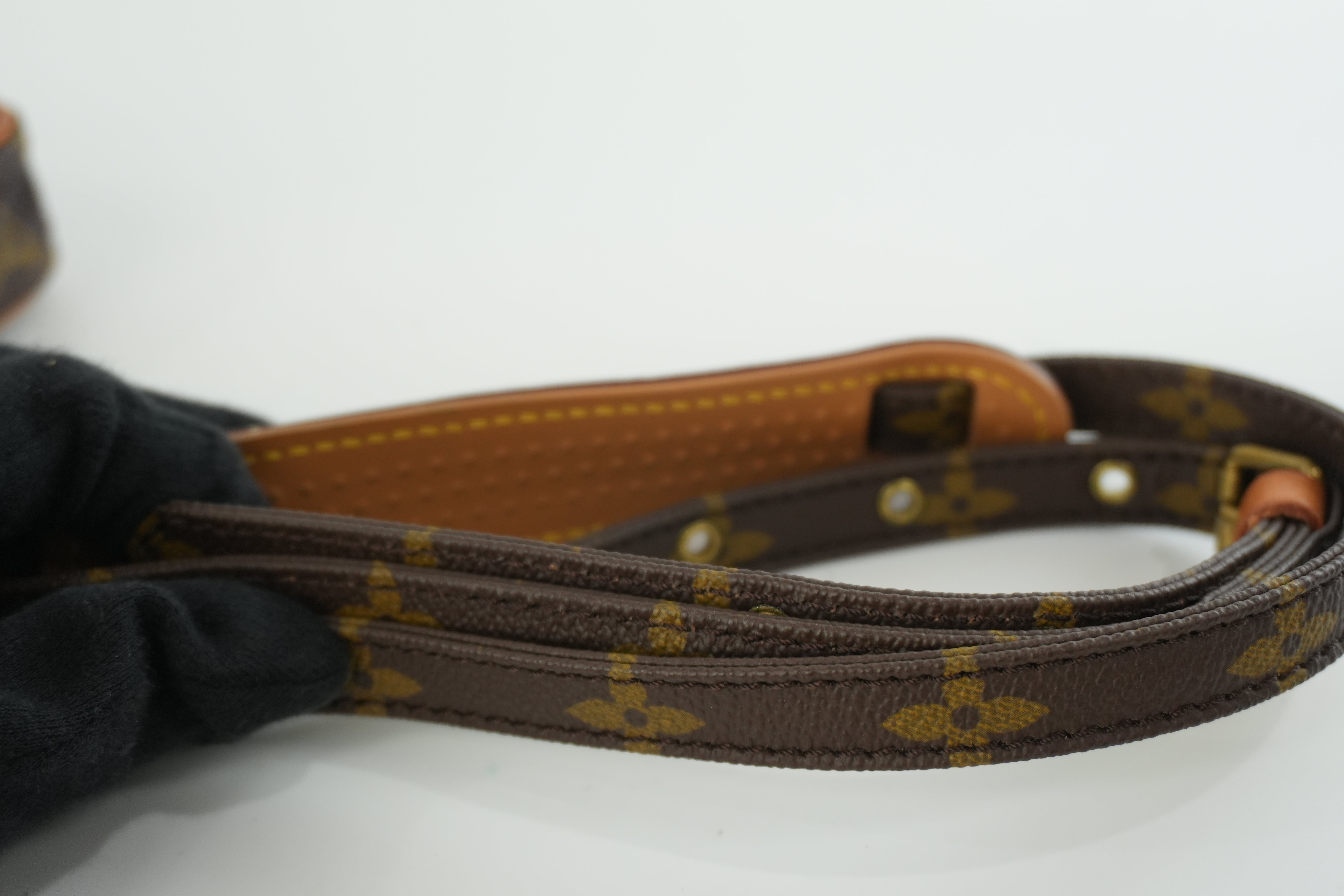 Pre-owned Louis Vuitton Monogram Mini Danube Shoulder Bag