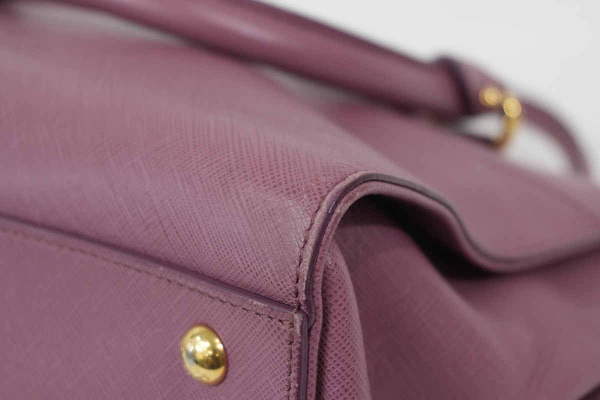 Pre-Owned Salvatore Ferragamo Beky Handbag Pink