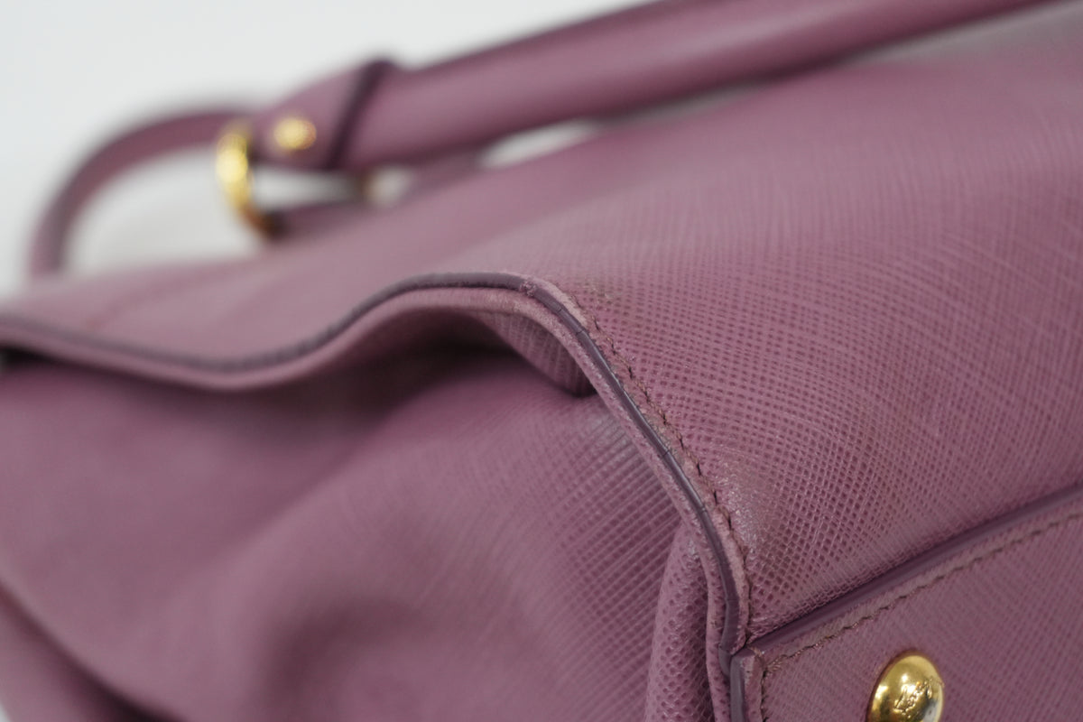 Pre-Owned Salvatore Ferragamo Beky Handbag Pink
