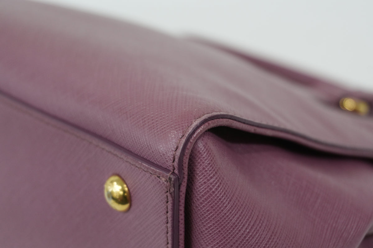 Pre-Owned Salvatore Ferragamo Beky Handbag Pink