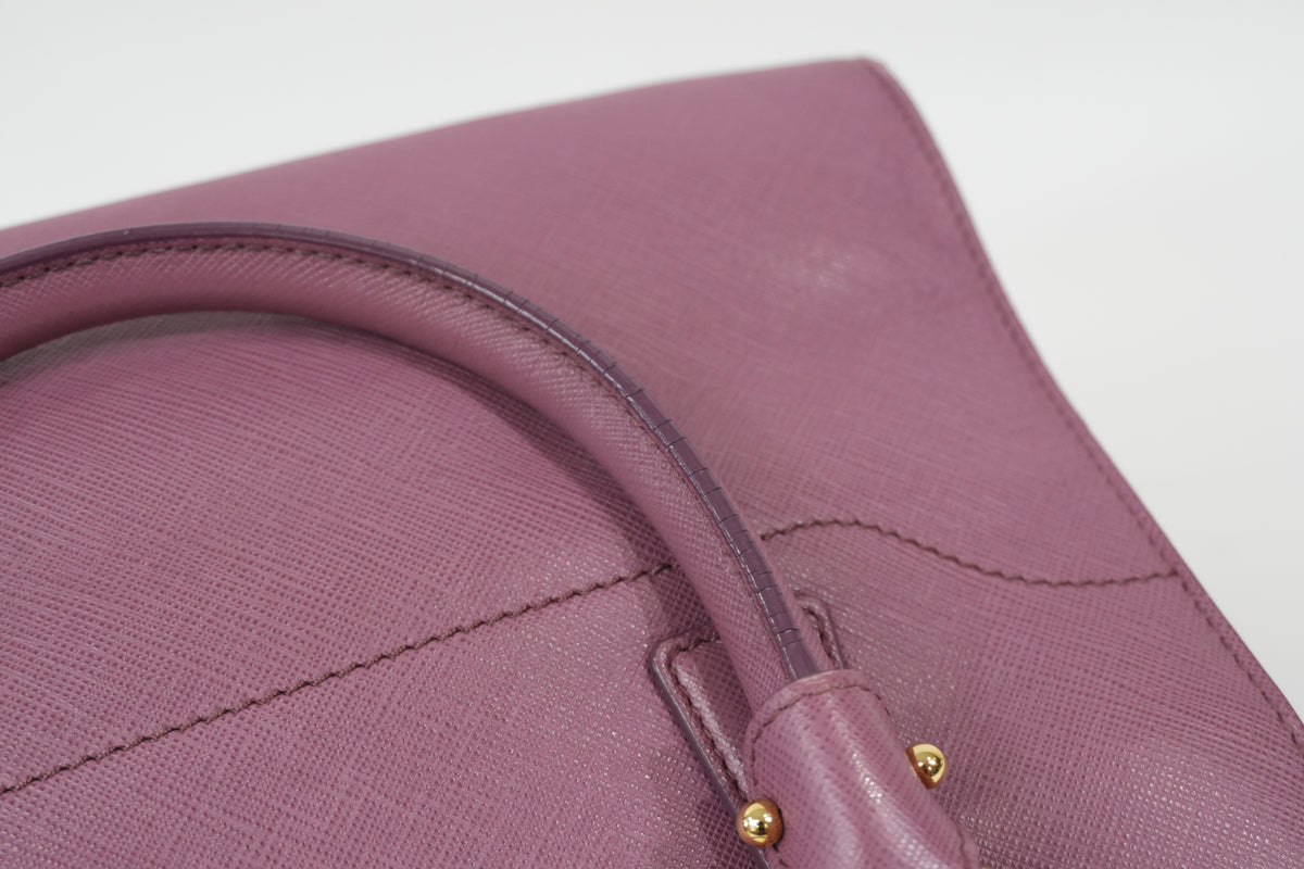 Pre-Owned Salvatore Ferragamo Beky Handbag Pink