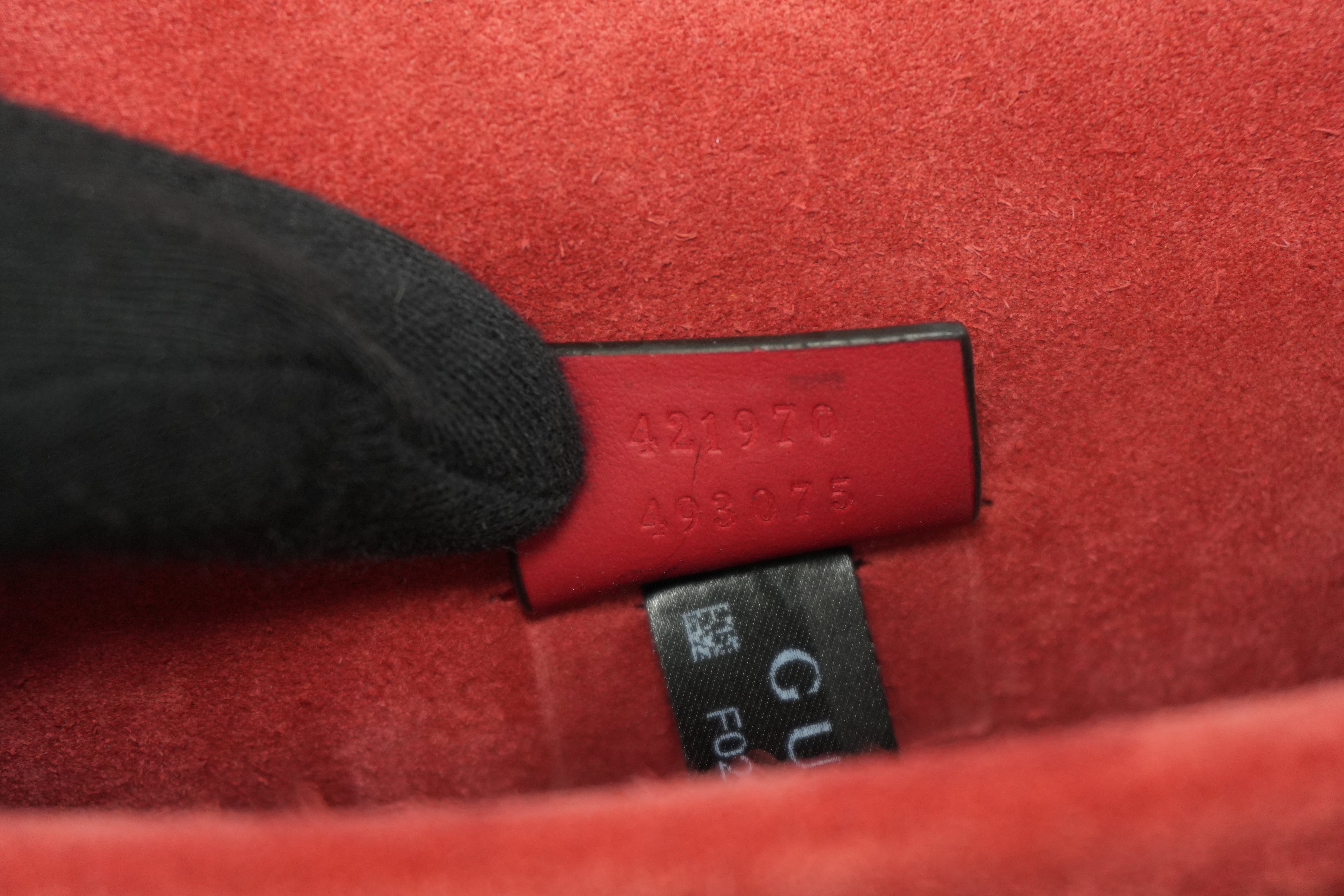 Pre-owned Gucci PVC Canvas Dionysus Double Flap Chain Shoulder Bag Brown and Red