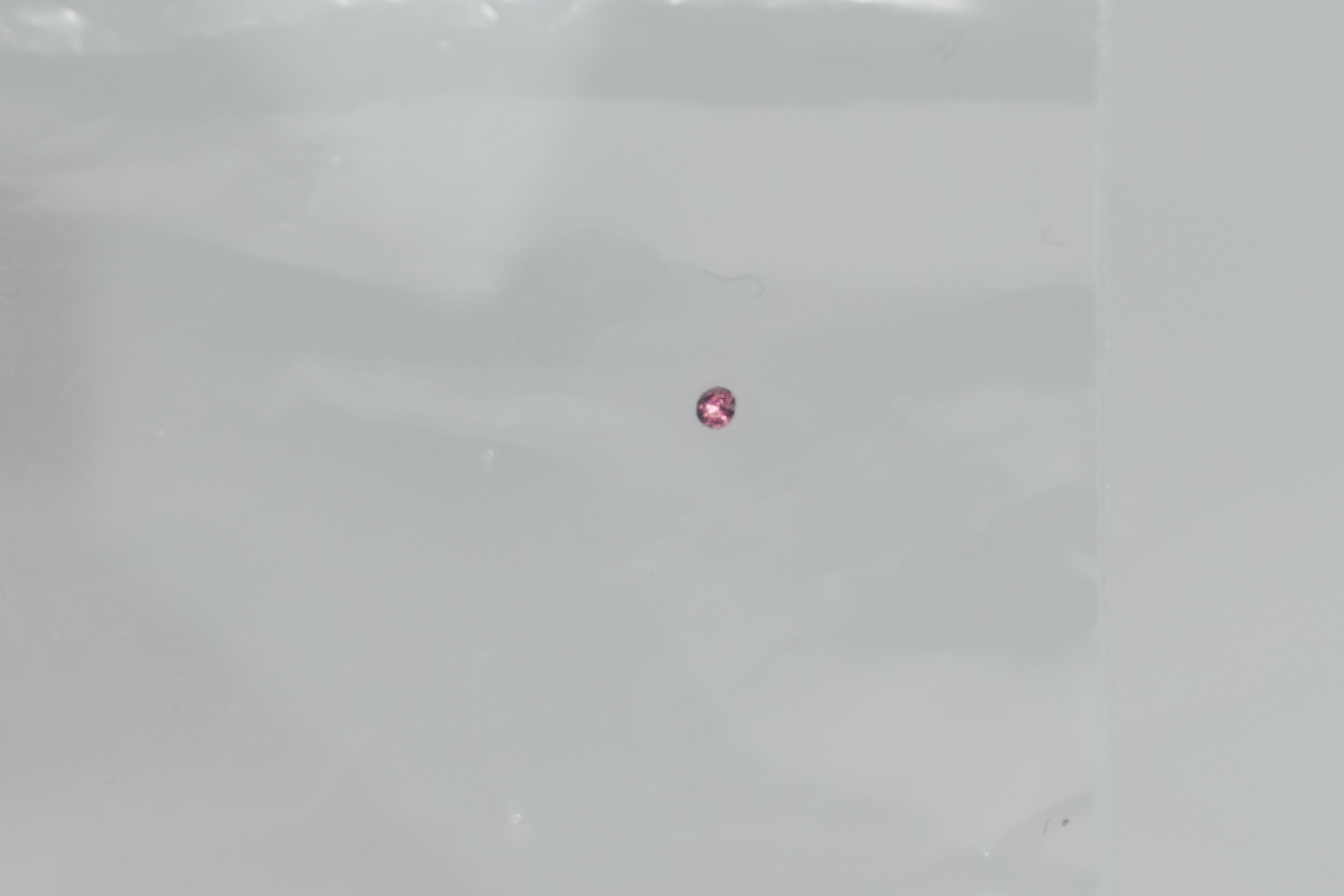 Pre-owned Chanel CC Earrings Pink