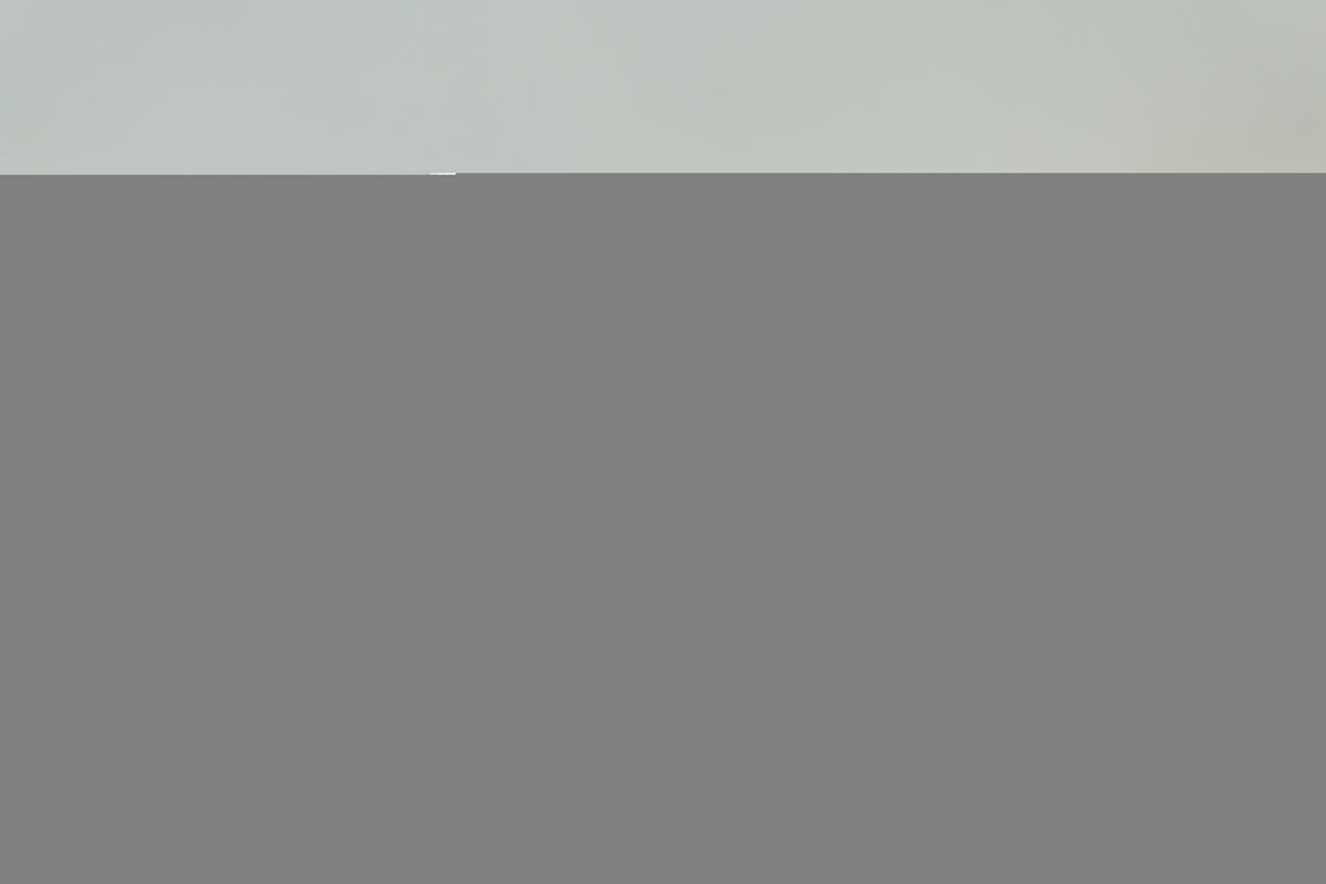 Pre-Owned Louis Vuitton Epi Laptop Case Black