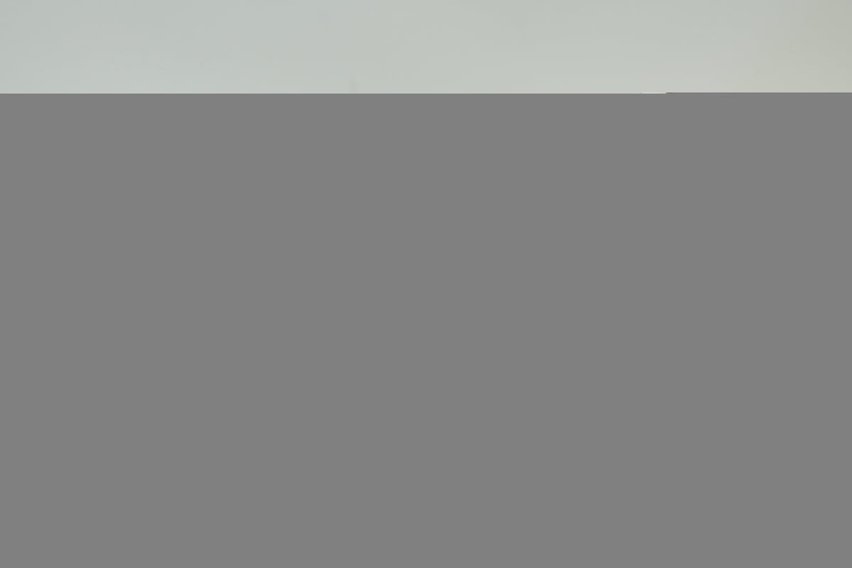 Pre-Owned Louis Vuitton Epi Laptop Case Black