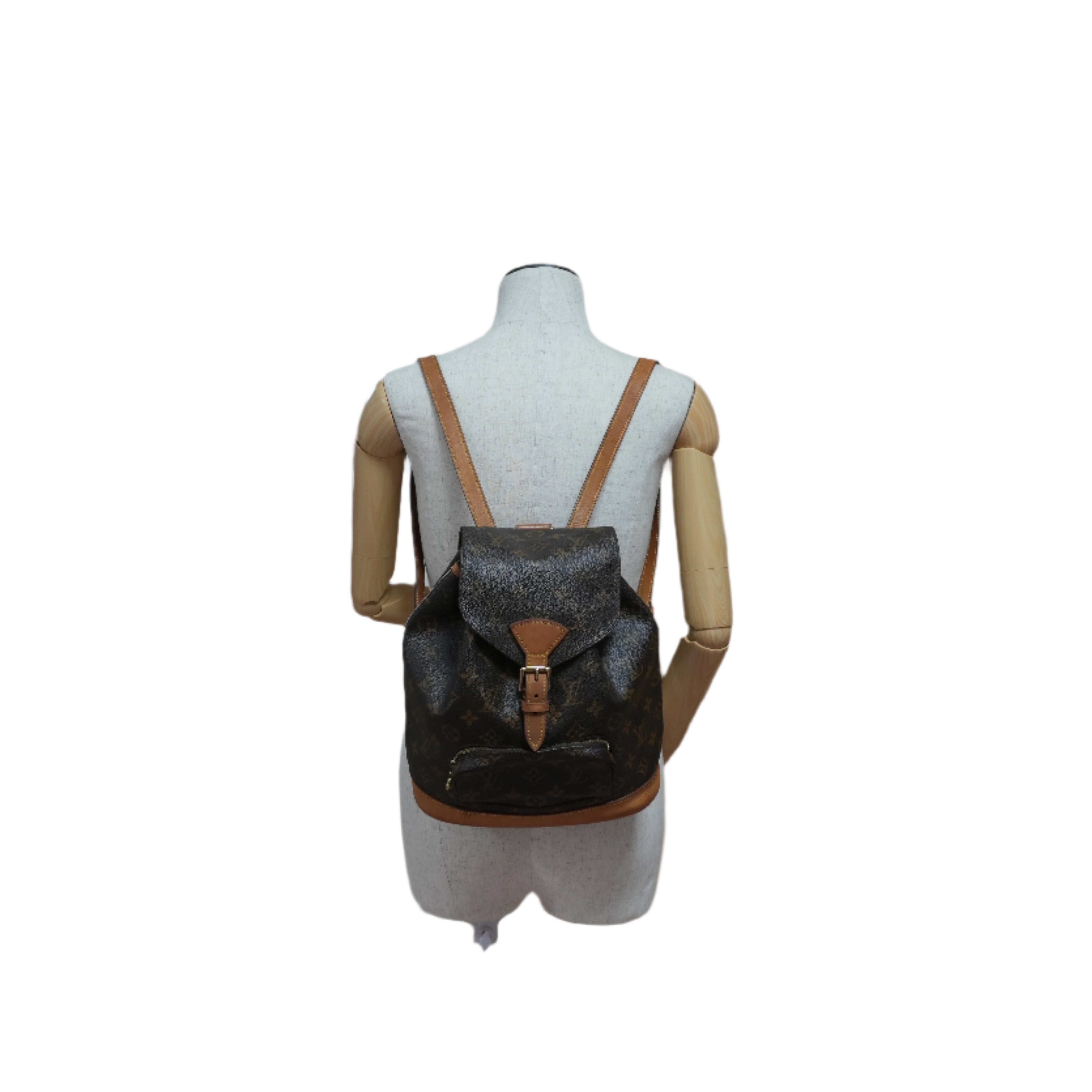 Louis Vuitton Montsouris PM Backpack Used