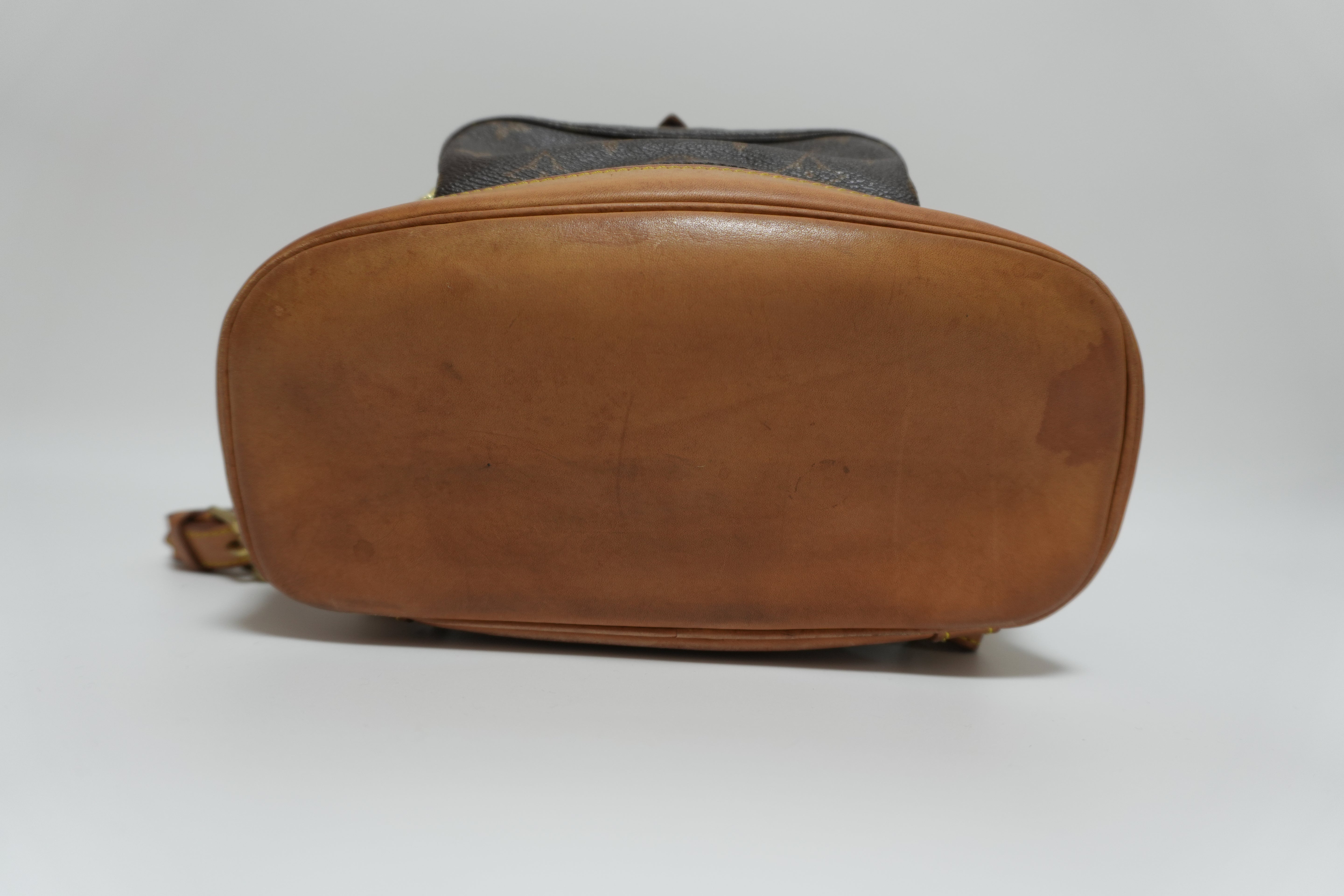 Louis Vuitton Montsouris PM Backpack Used