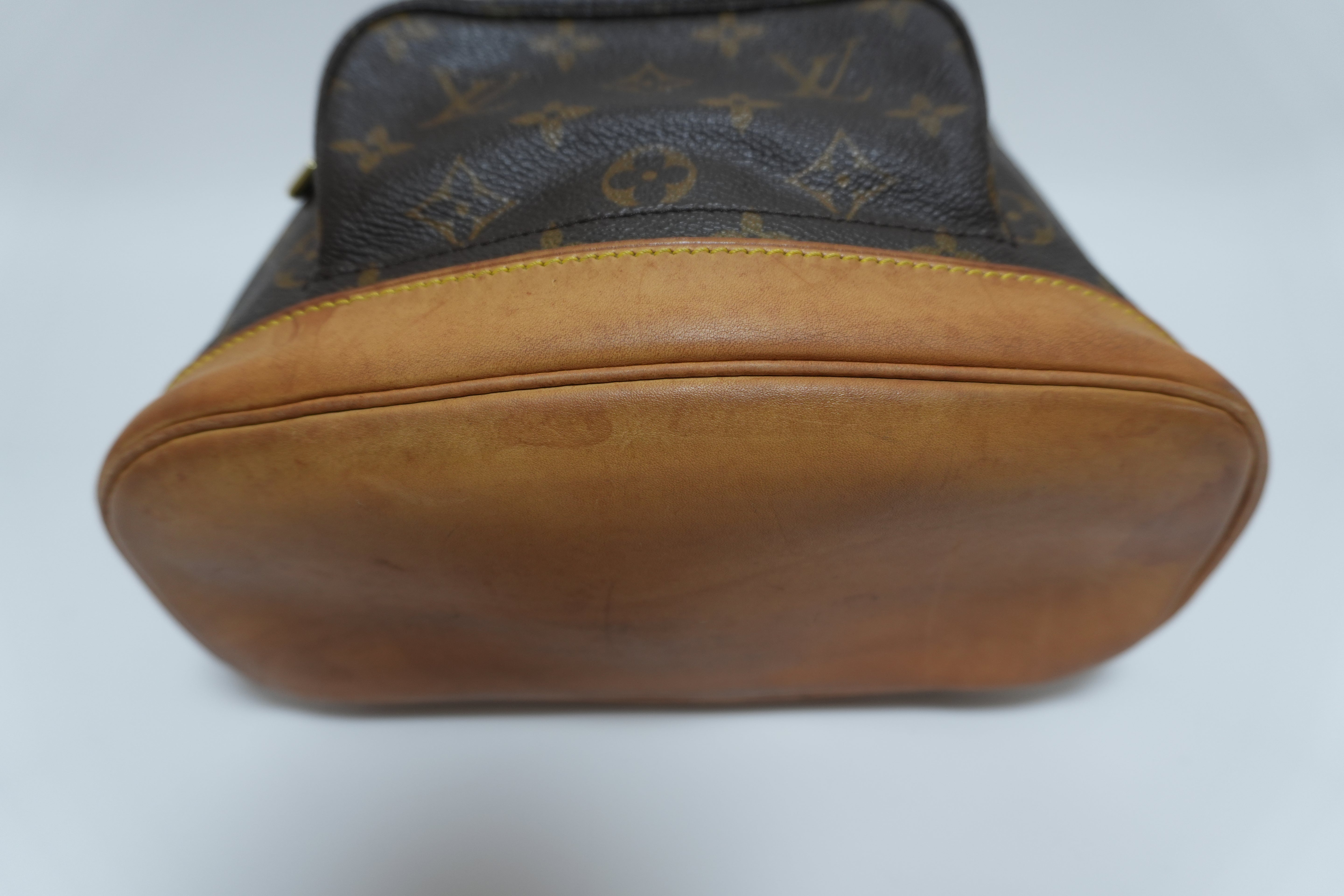 Louis Vuitton Montsouris PM Backpack Used