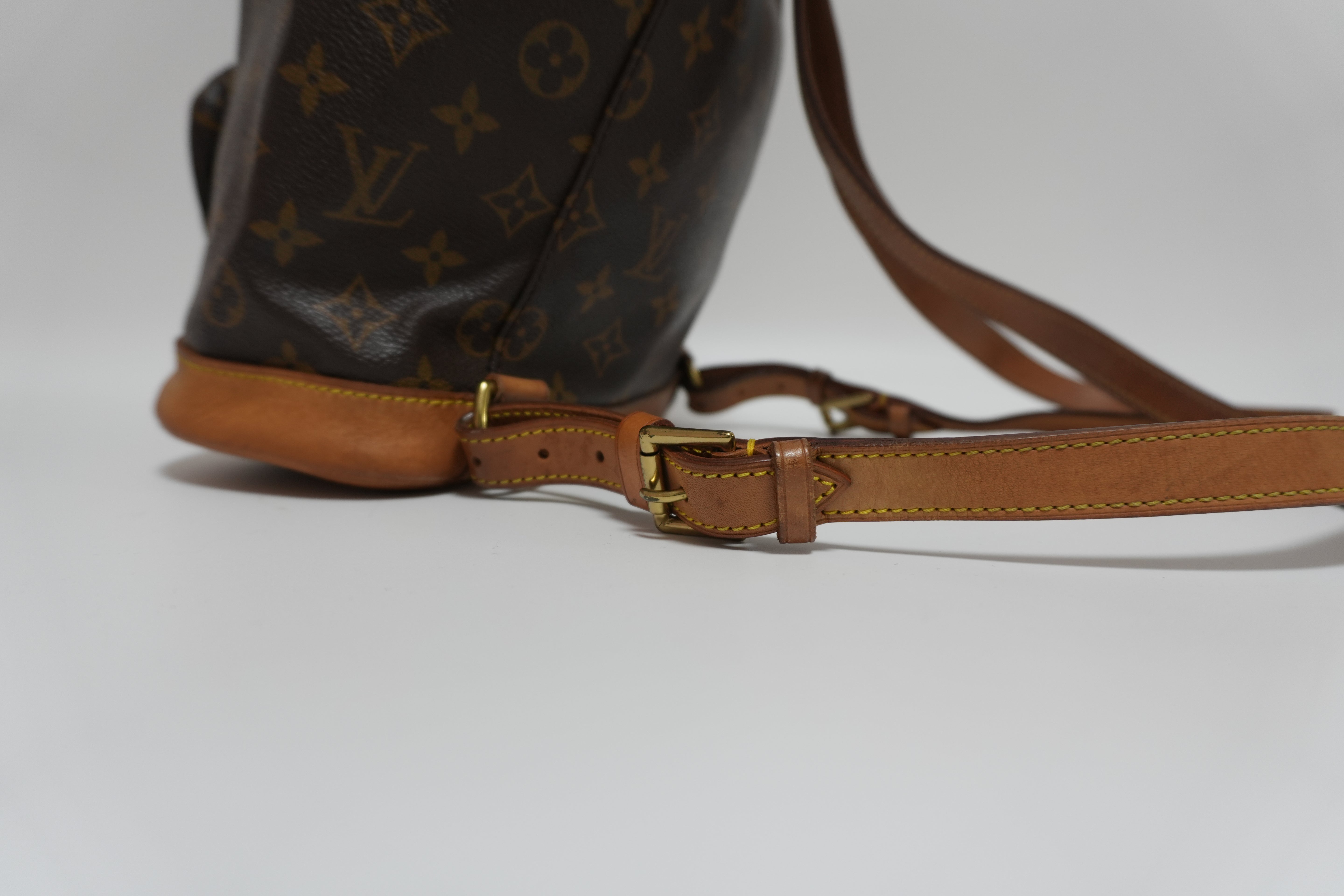 Louis Vuitton Montsouris PM Backpack Used