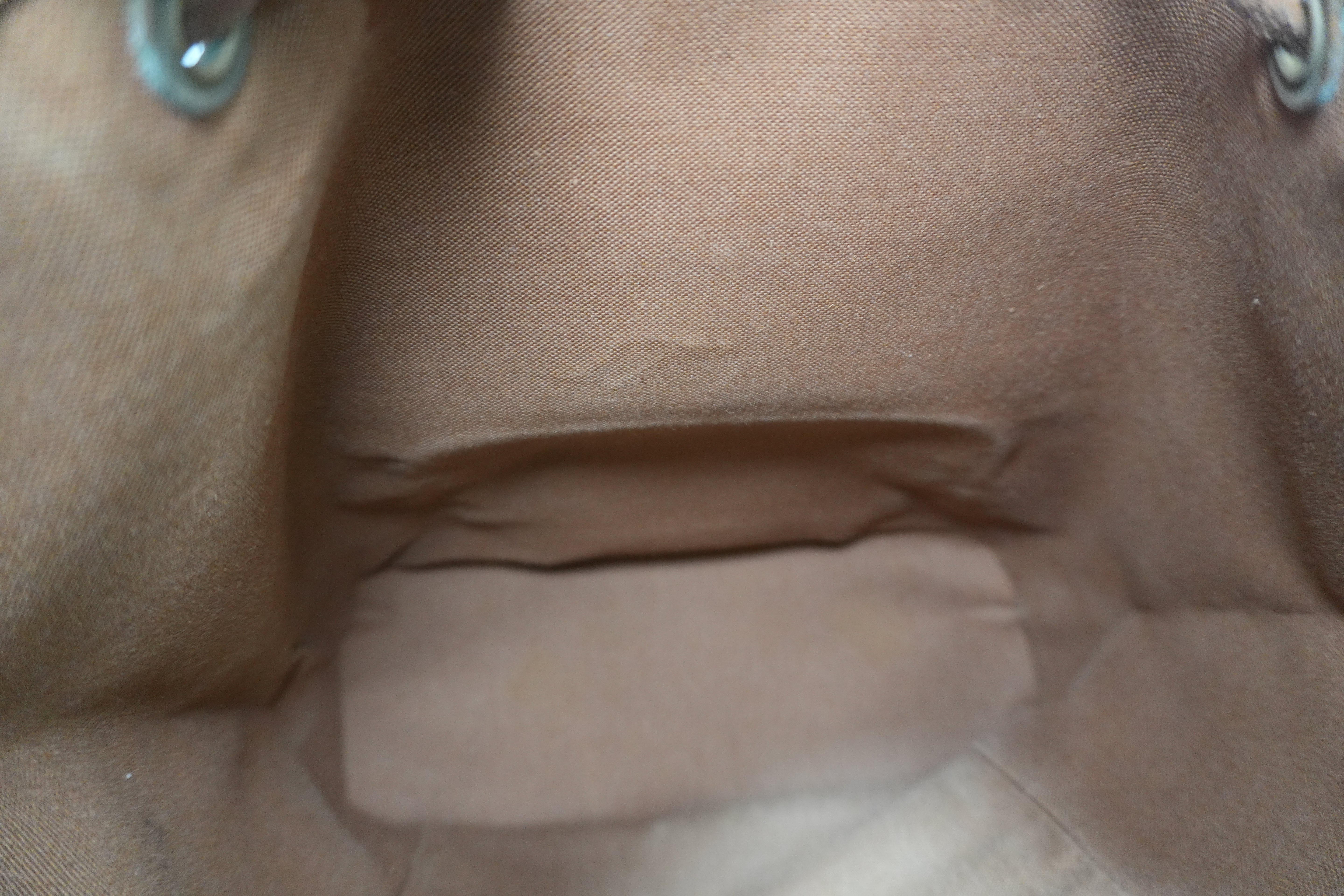 Louis Vuitton Montsouris PM Backpack Used