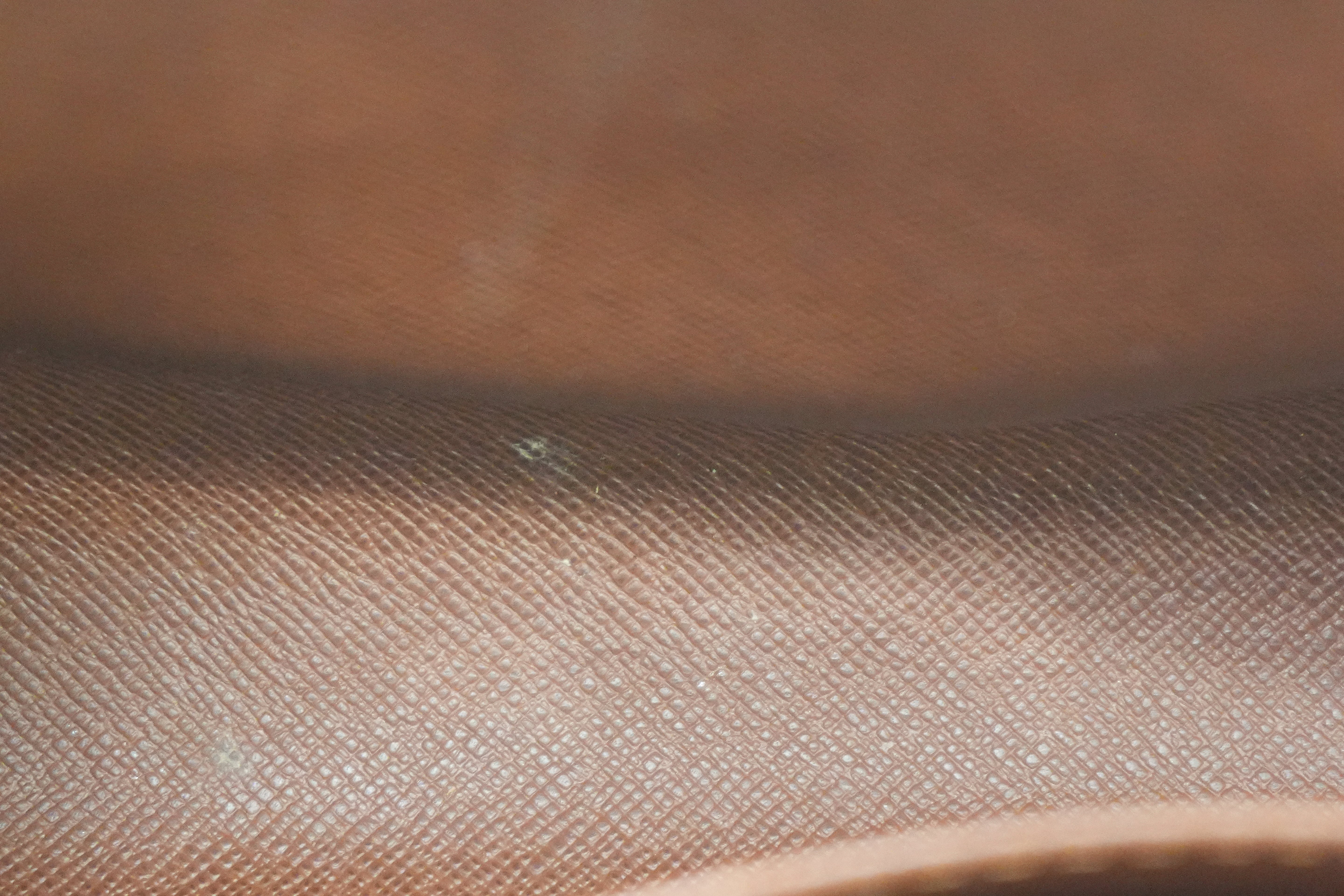 Pre-owned Louis Vuitton Monogram Orsay Wrist Clutch Bag