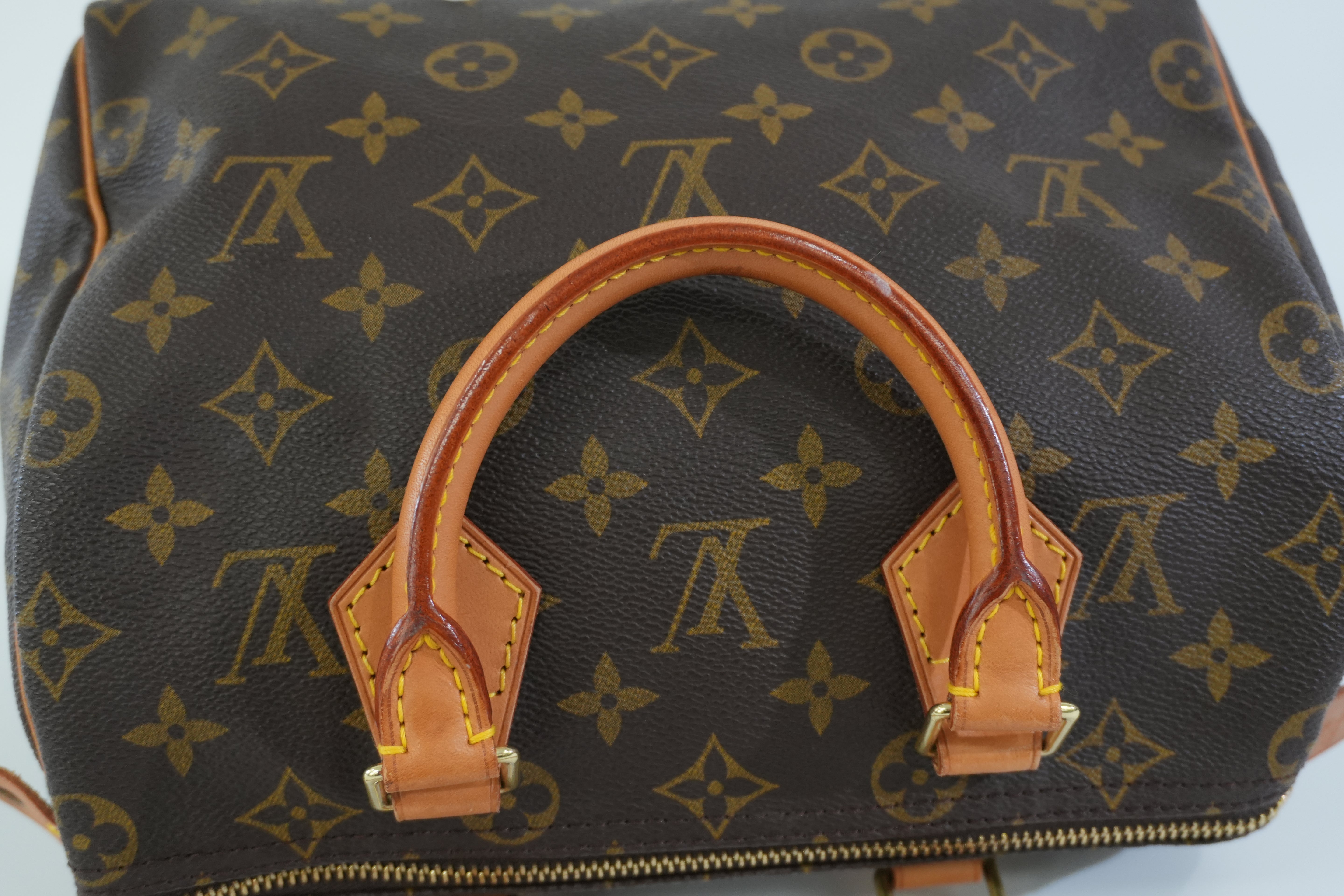Pre-owned Louis Vuitton Monogram Speedy 25 Handbag