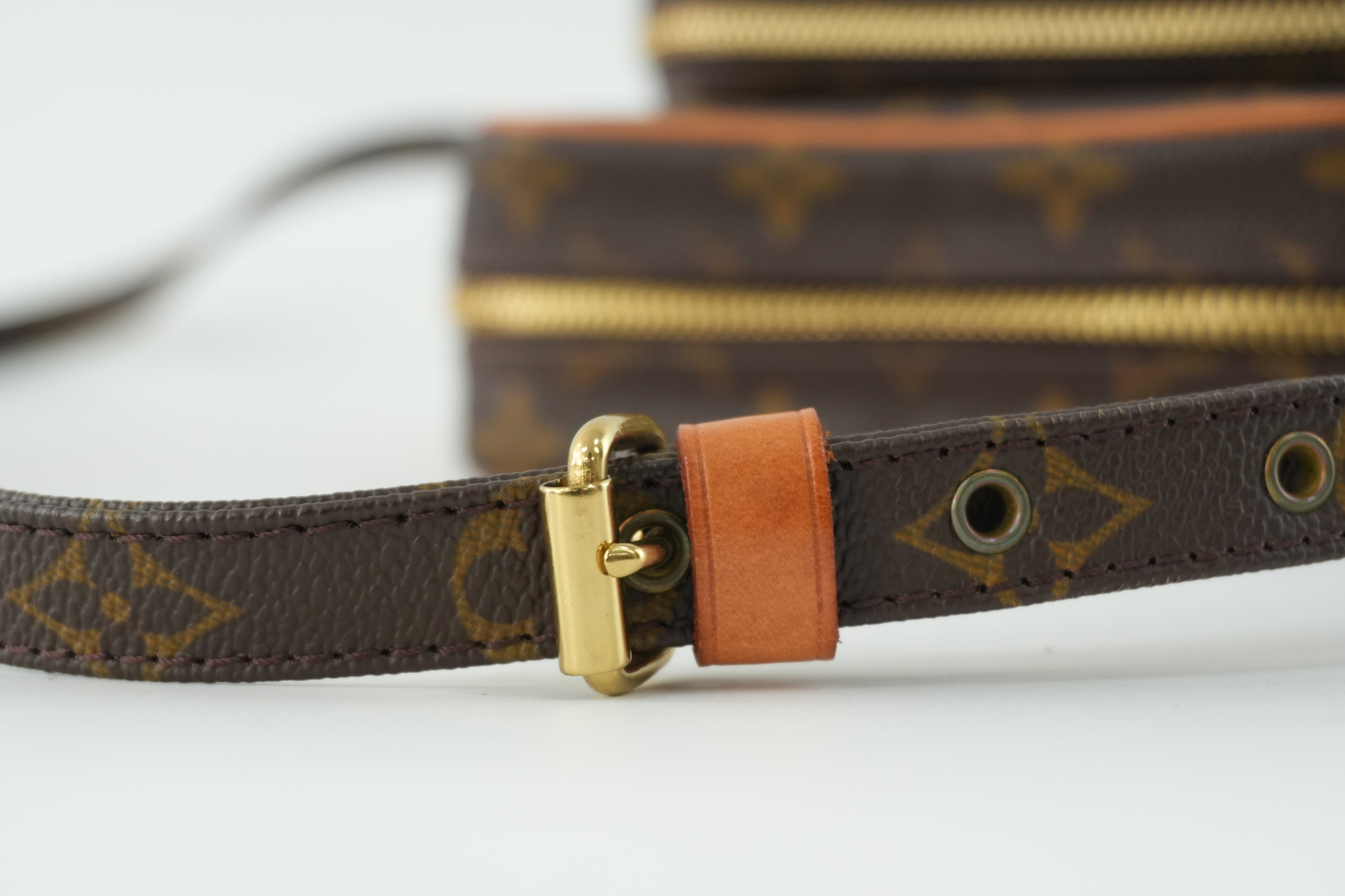 Louis Vuitton Monogram Amazon Shoulder Bag Used