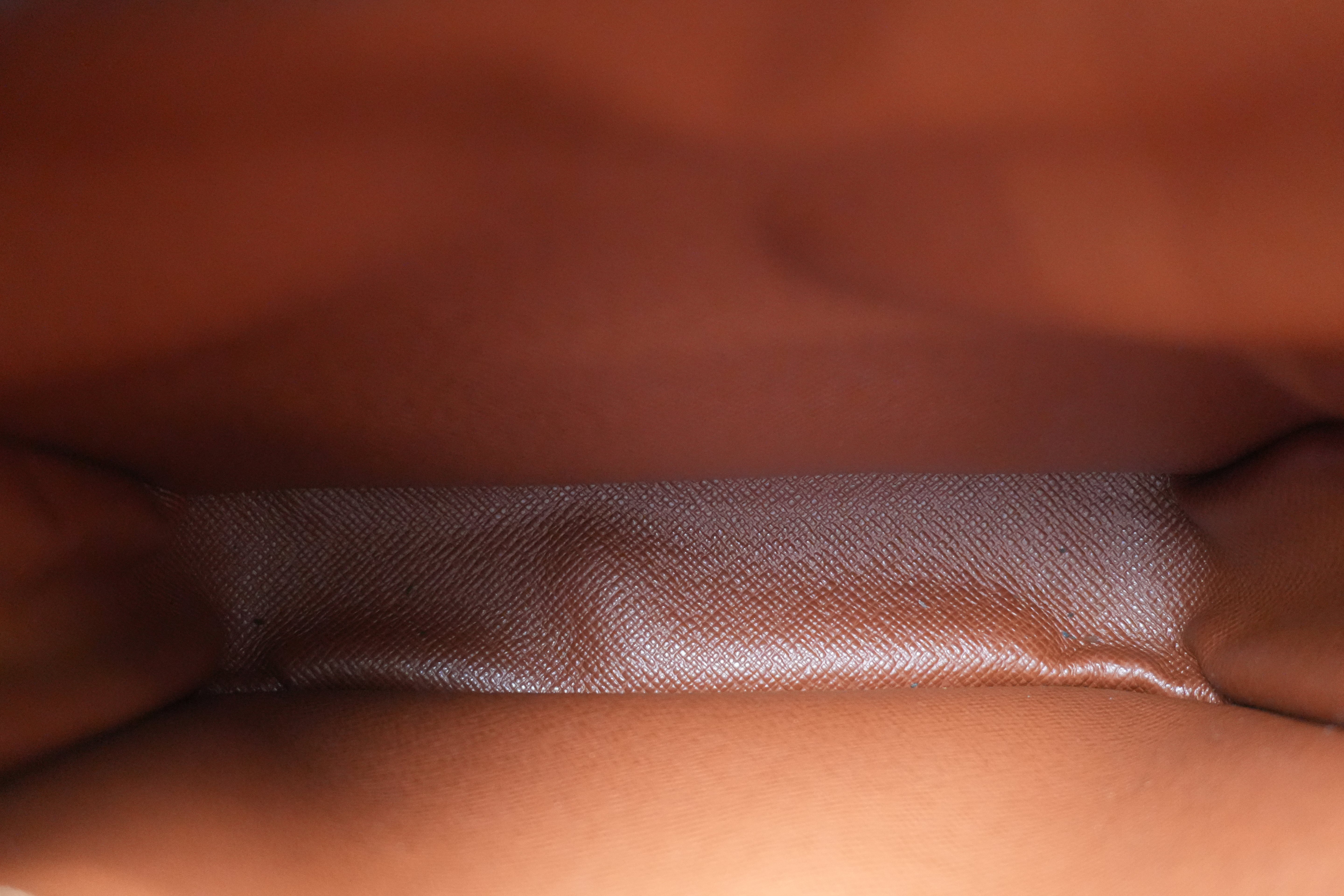 Louis Vuitton Monogram Amazon Shoulder Bag Used