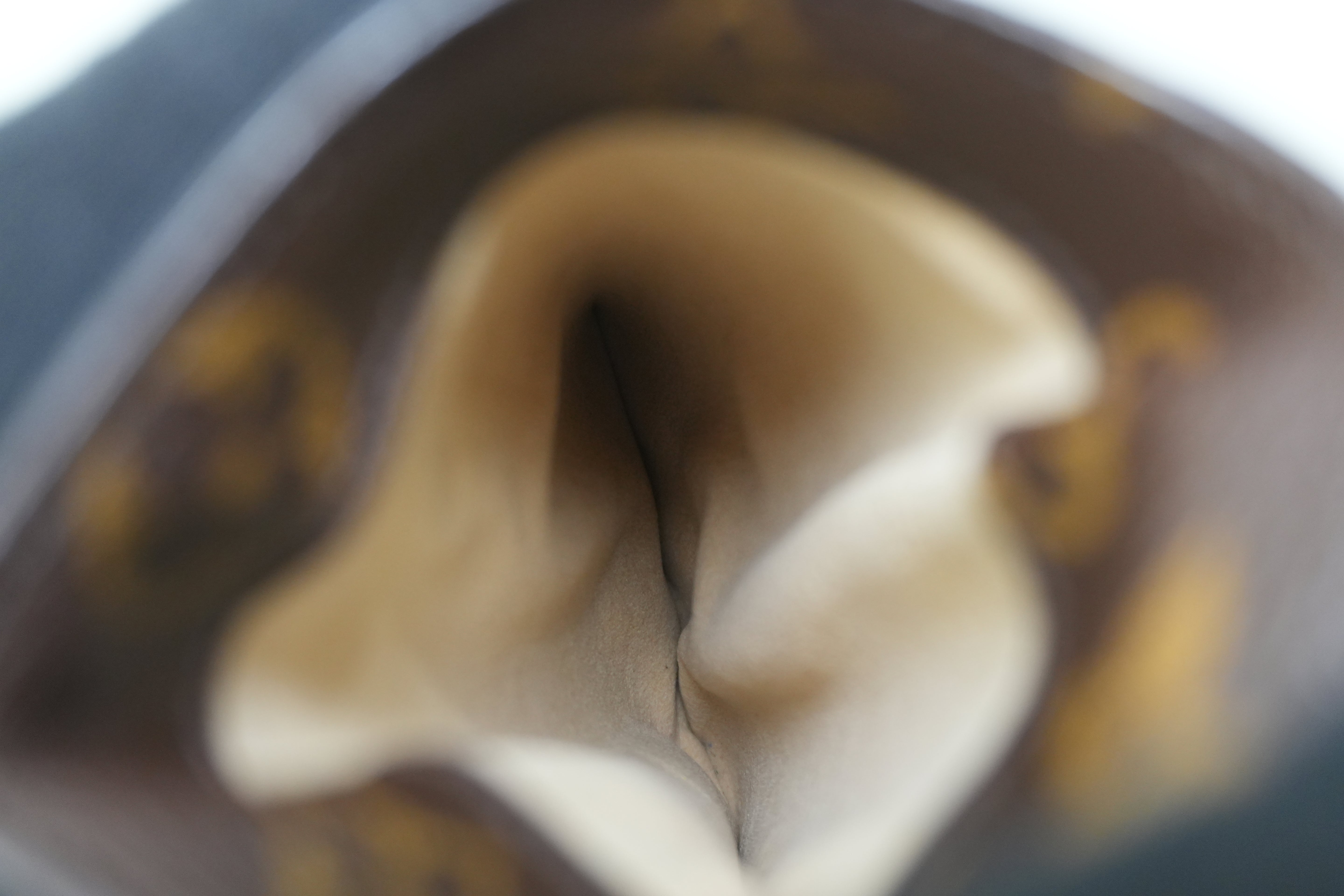 Louis Vuitton Monogram Reading Glass Case Used