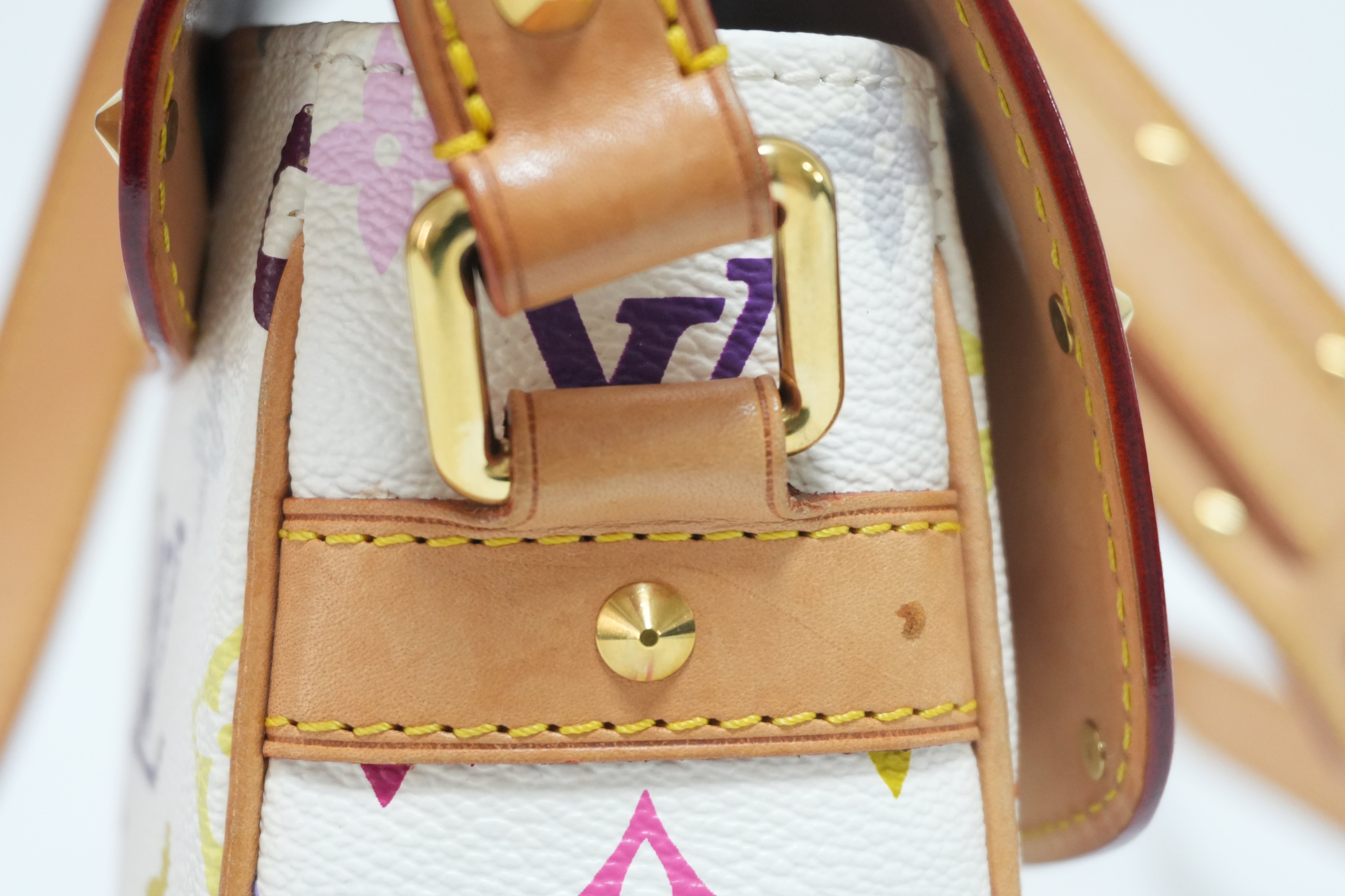 Louis Vuitton Multicolor Sologne Shoulder Bag Used