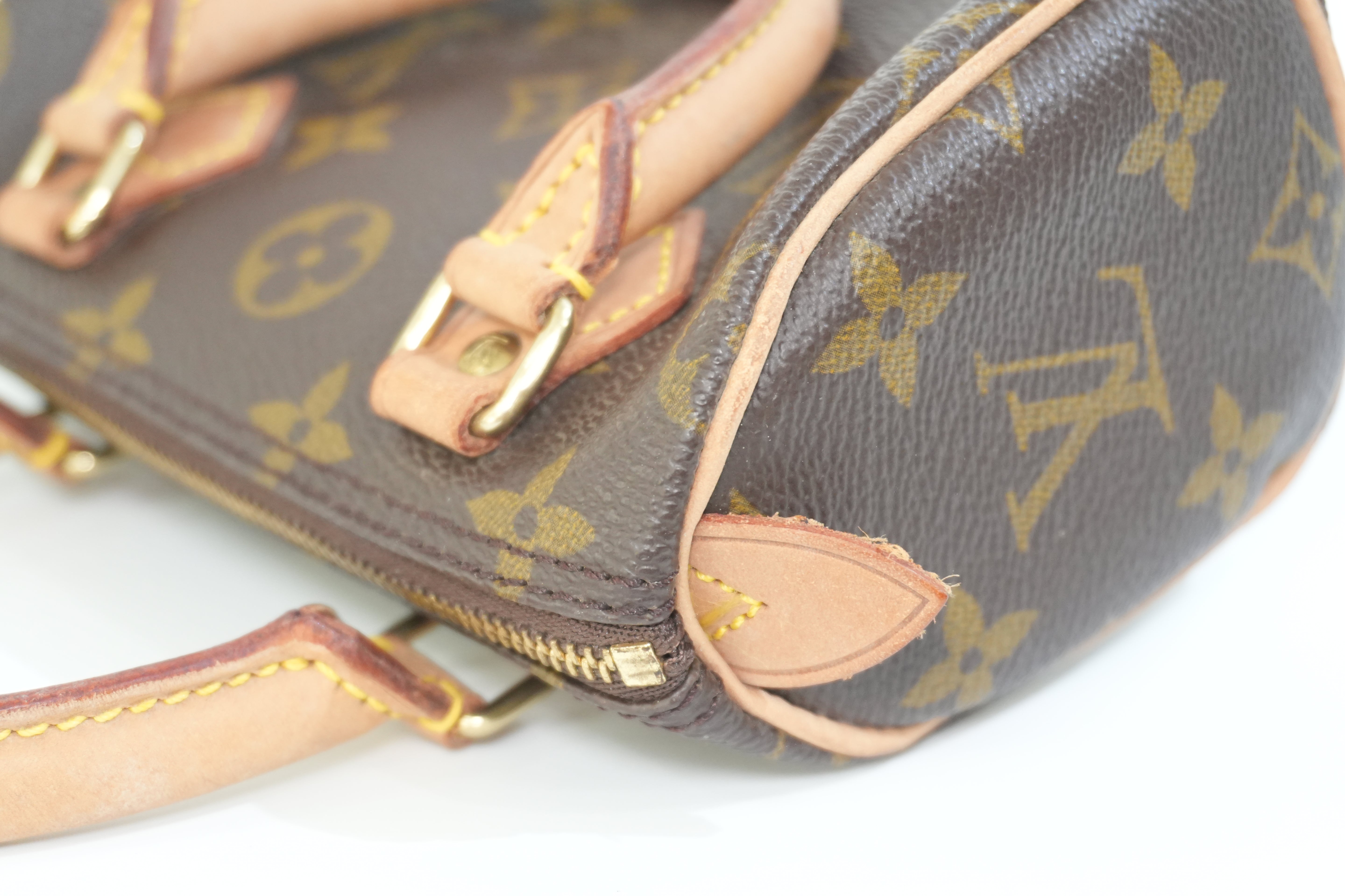 Pre-owned Louis Vuitton Monogram Mini Speedy Handbag