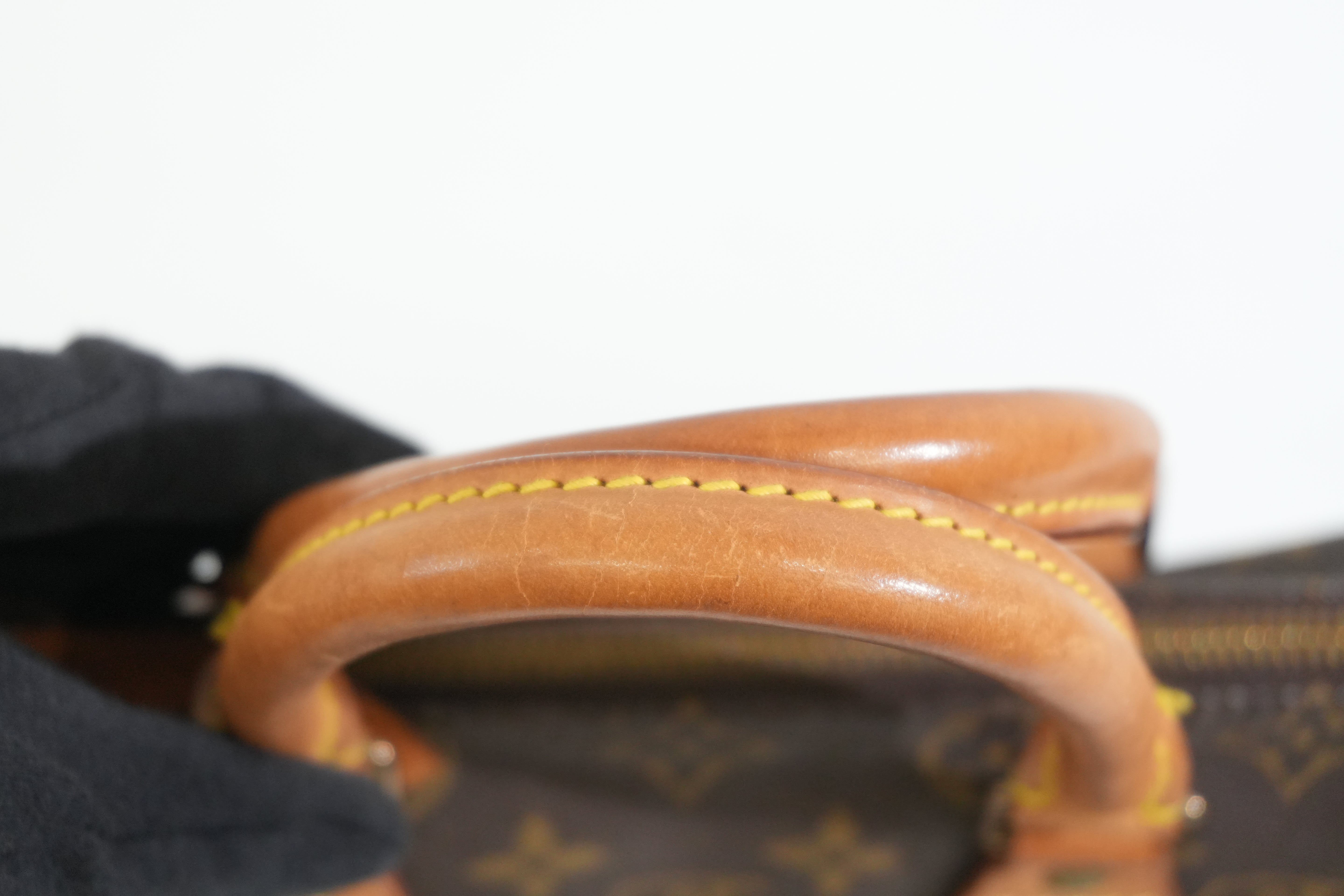 Pre-owned Louis Vuitton Monogram Speedy 25 Handbag