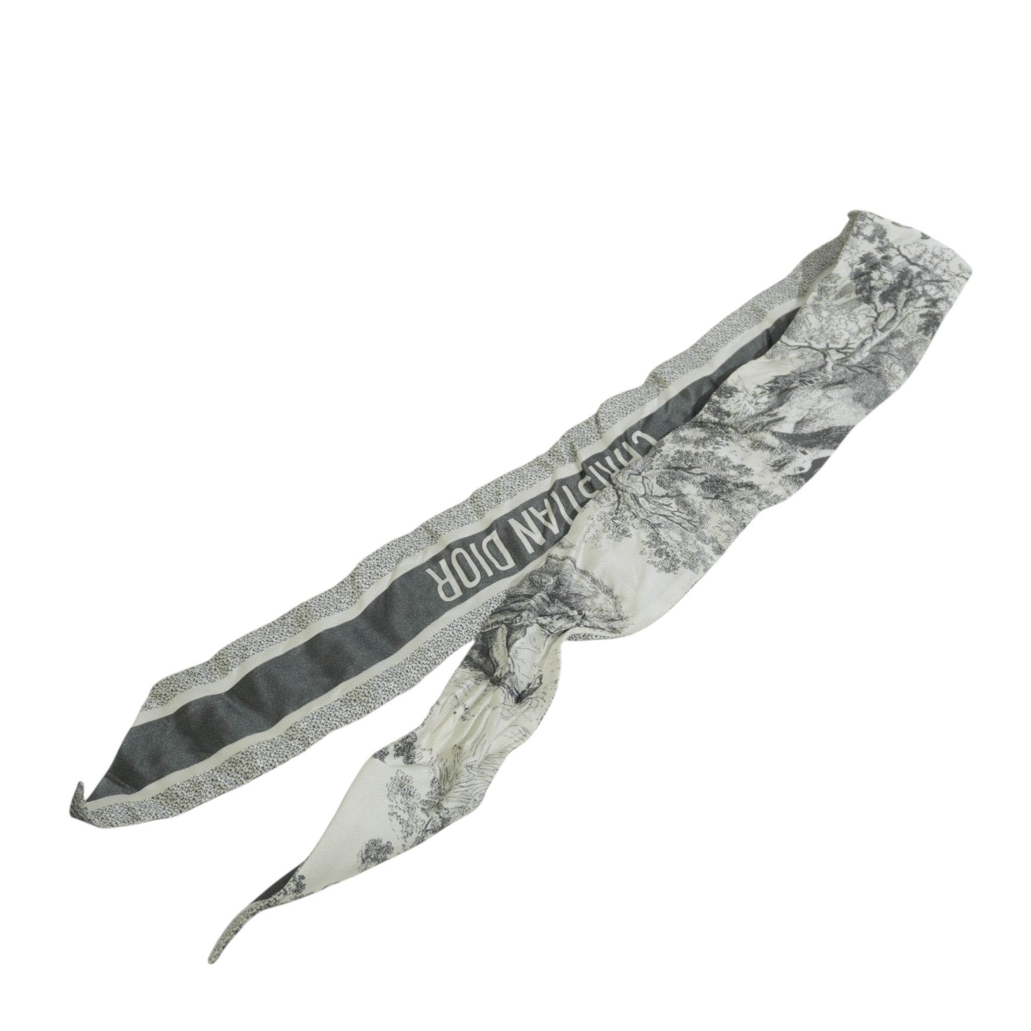 Pre-owned Dior Twilly Gray