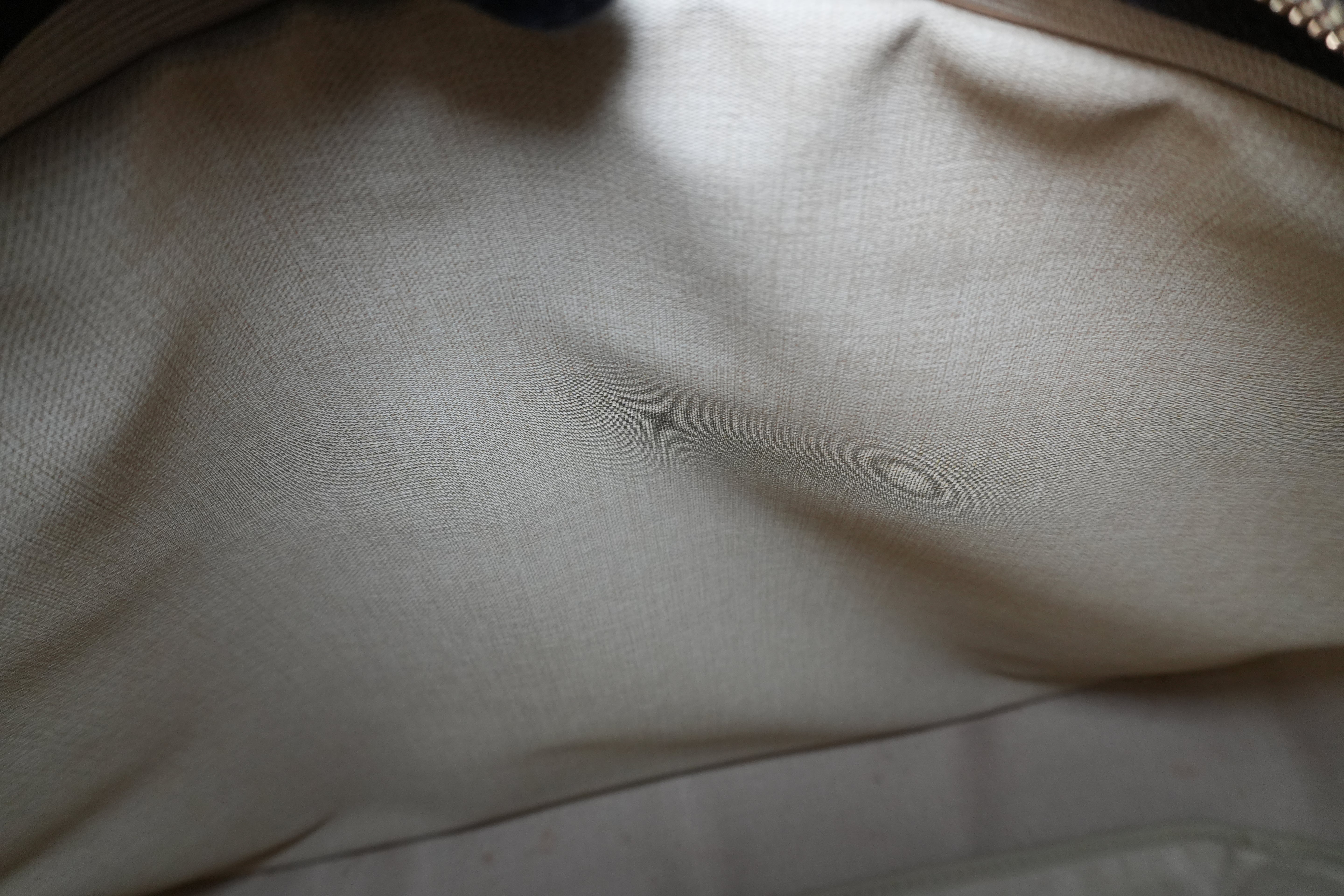 Louis Vuitton Monogram Alize 24 Used