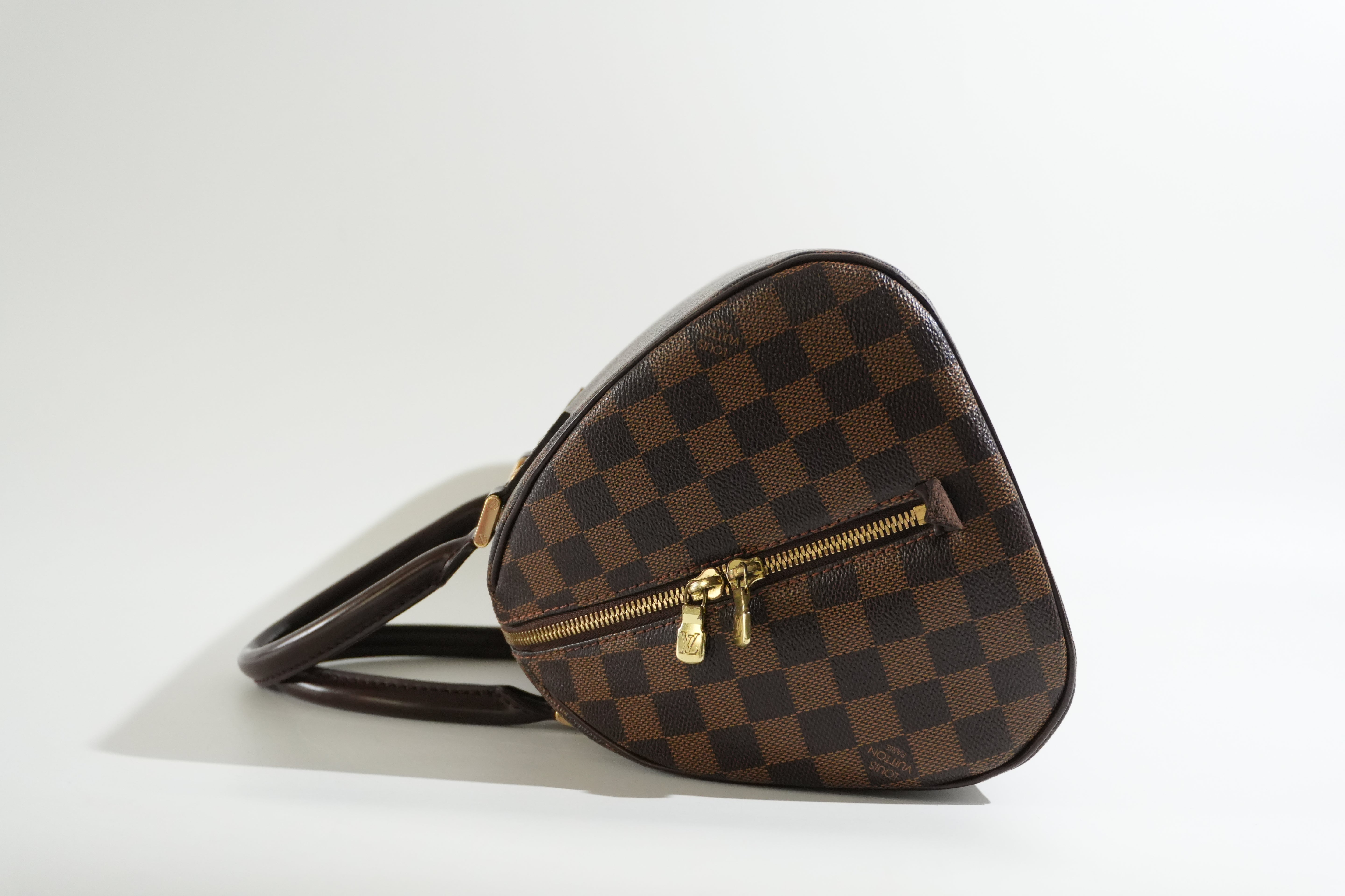 Pre-owned Louis Vuitton Damier Ebene Ribera MM Handbag