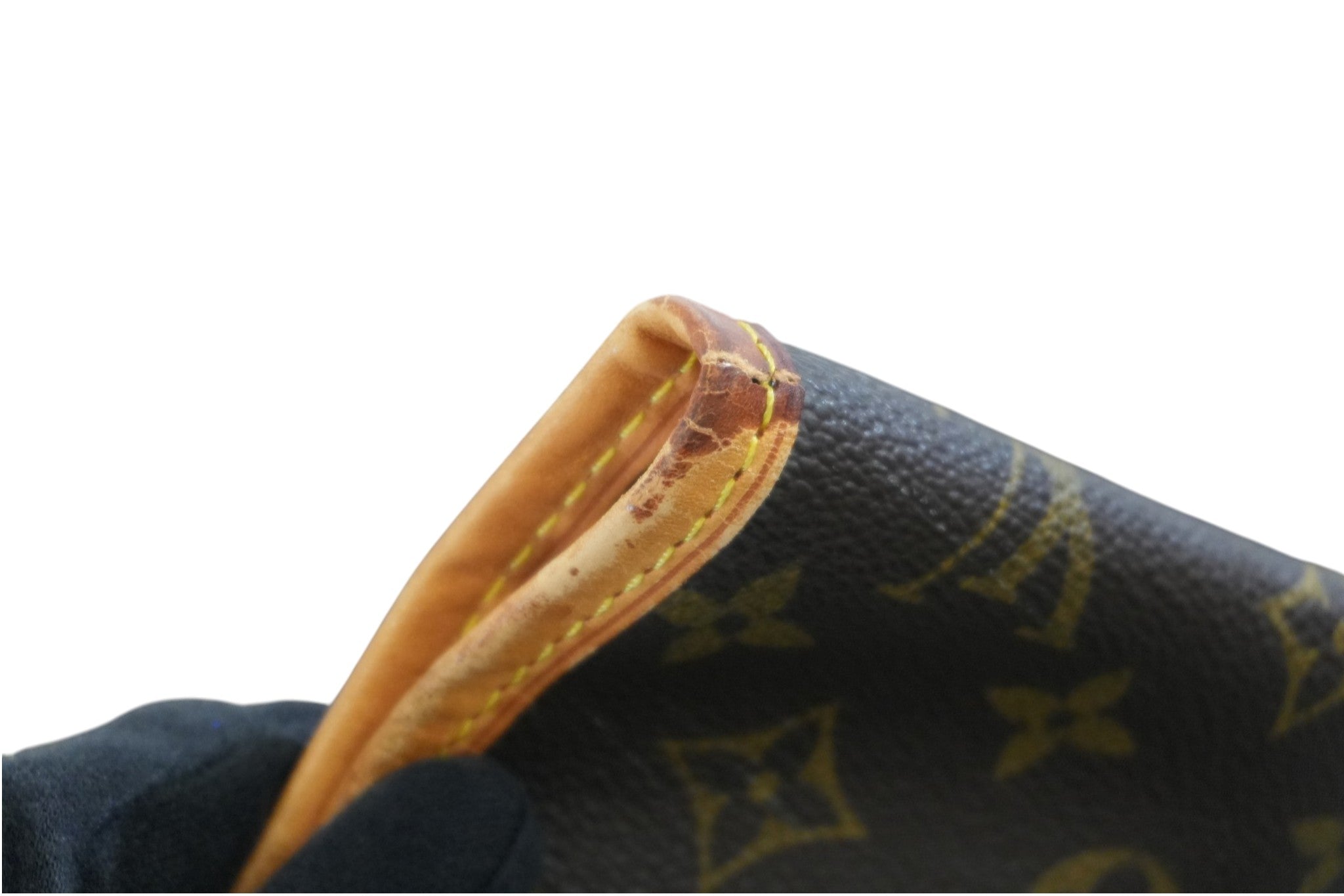 Pre-owned Louis Vuitton Monogram Garment Case