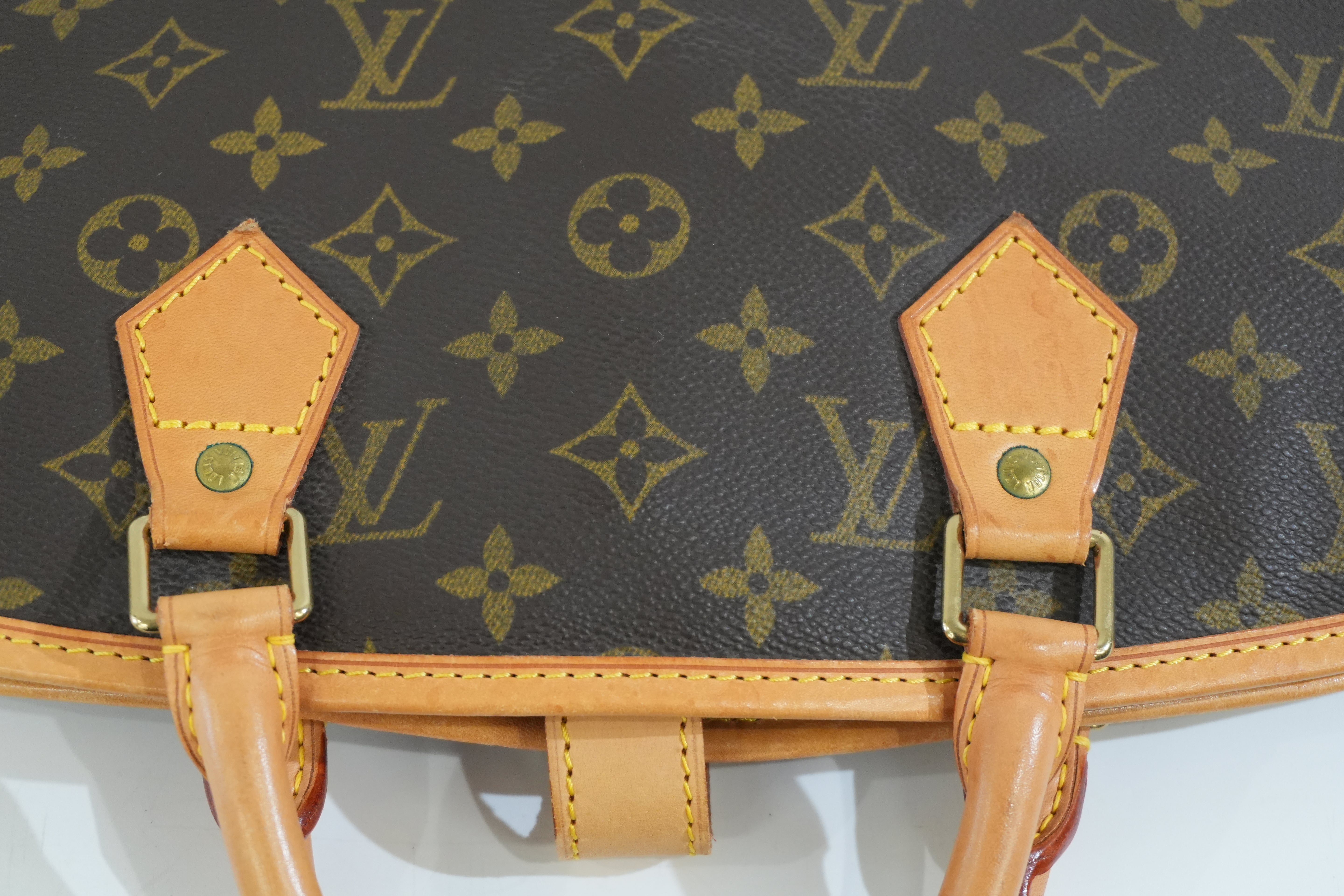 Pre-owned Louis Vuitton Monogram Garment Case