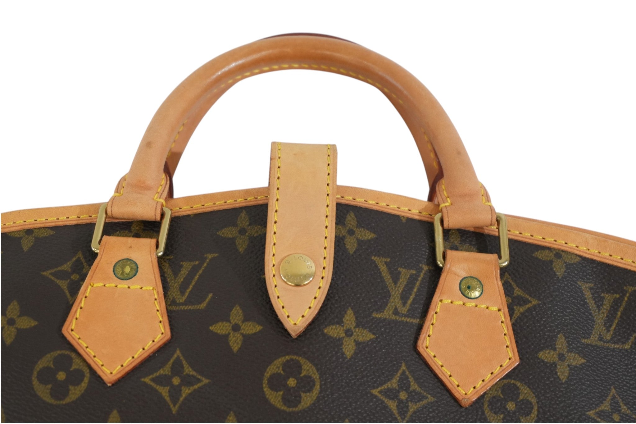 Pre-owned Louis Vuitton Monogram Garment Case