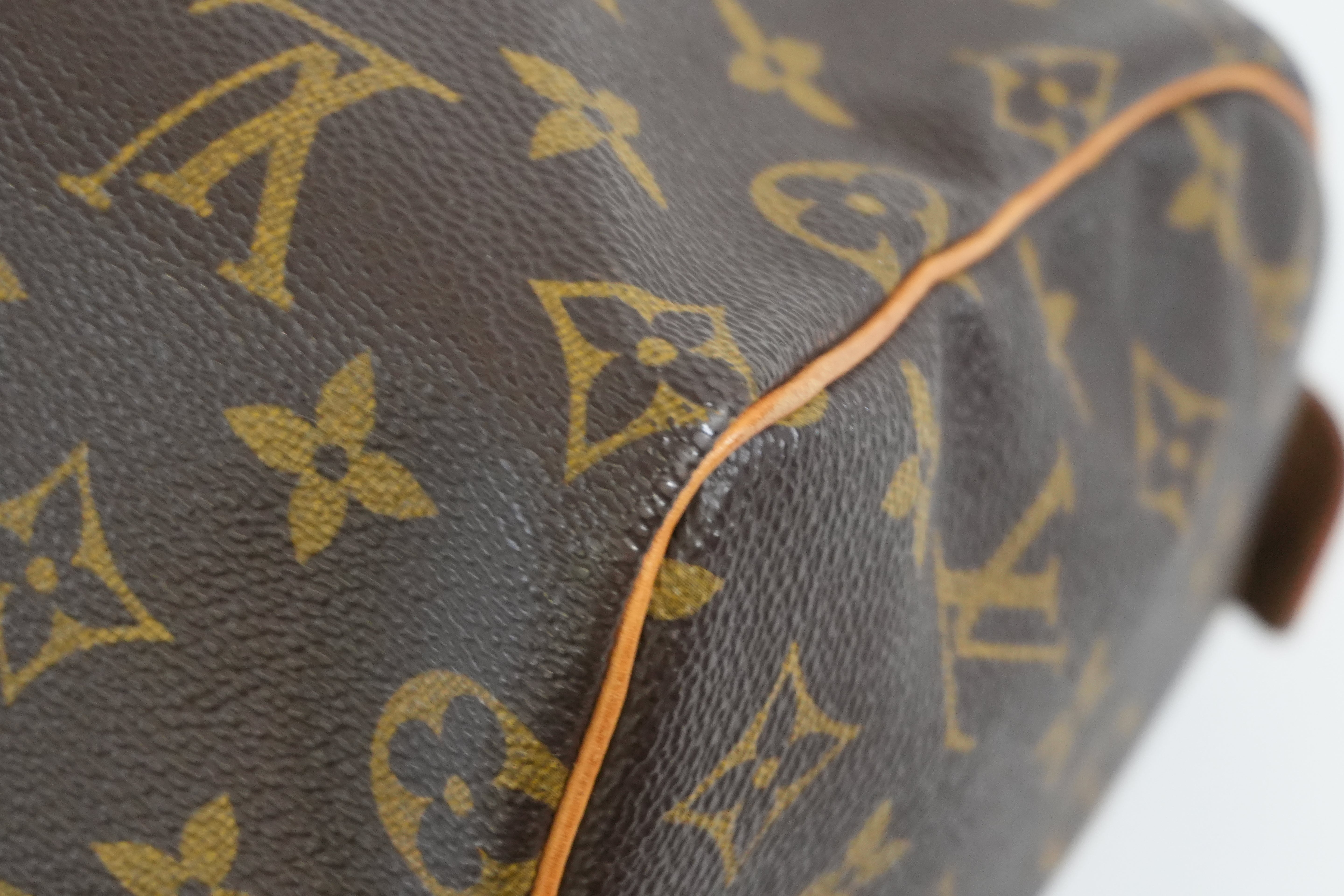 Pre-owned Louis Vuitton Monogram Speedy 25 Handbag