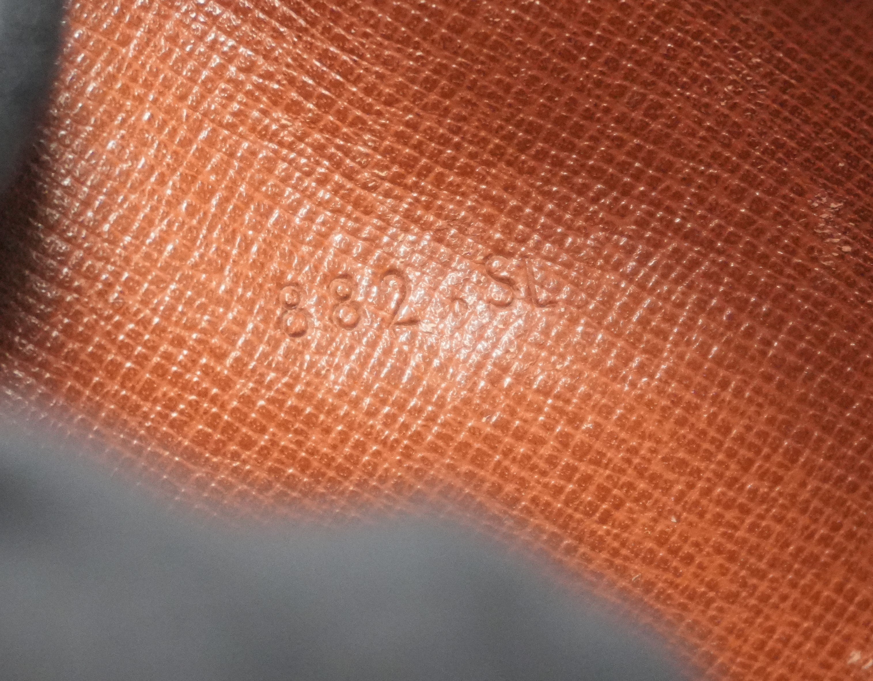 Louis Vuitton Monogram Danube Crossbody Used