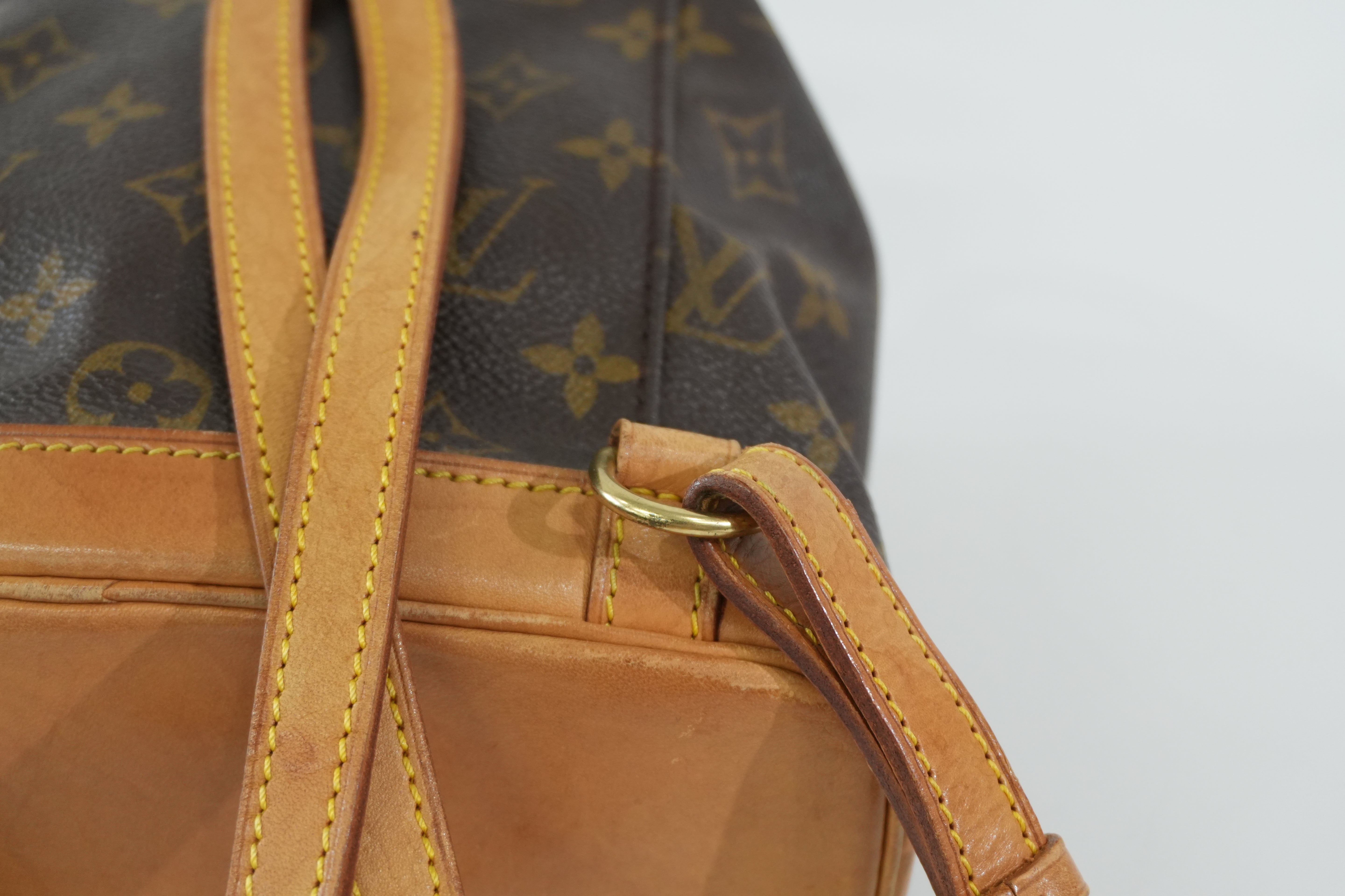 Pre-owned Louis Vuitton Monogram Montsouris PM Backpack