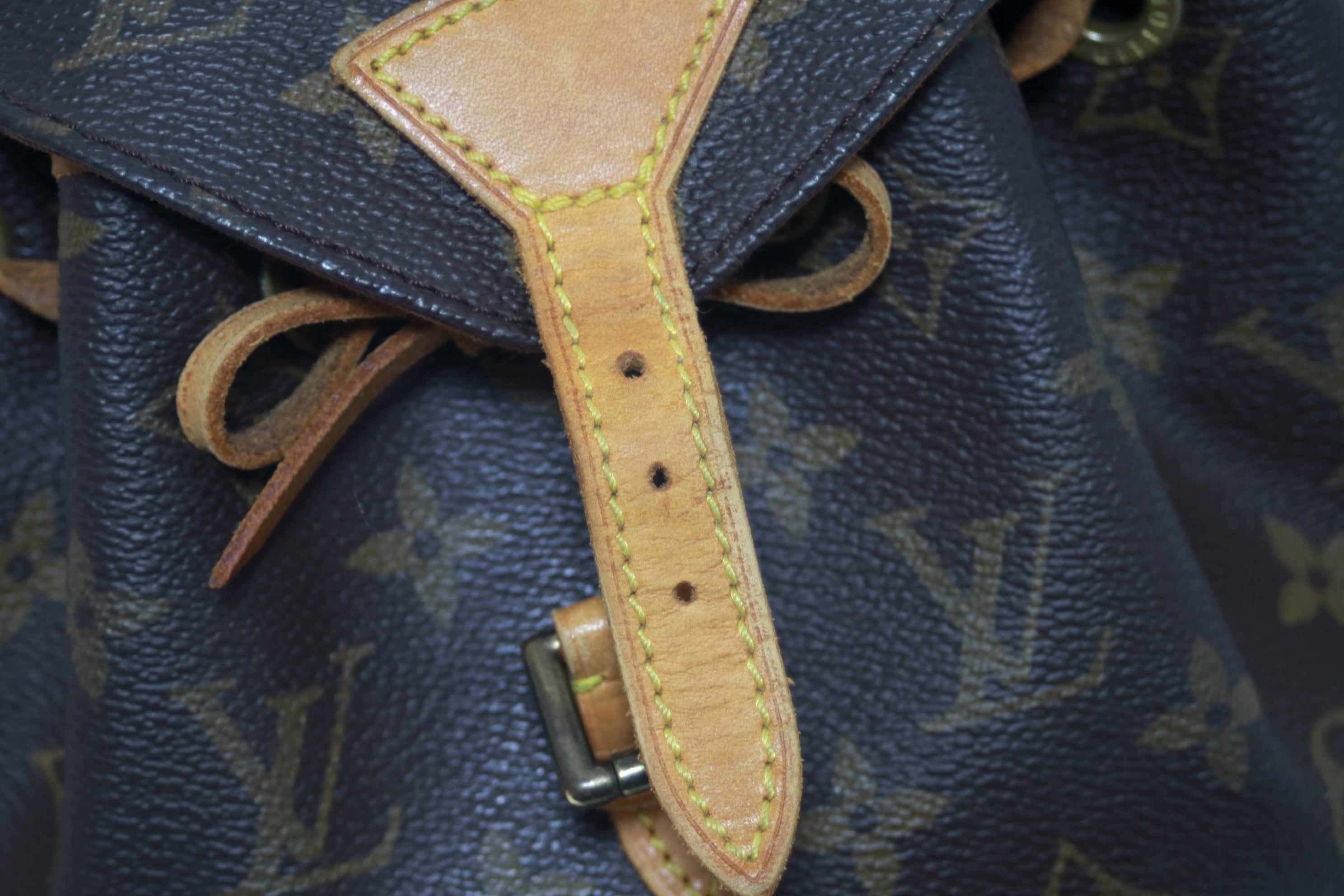 Louis Vuitton Montsouris PM Backpack Used