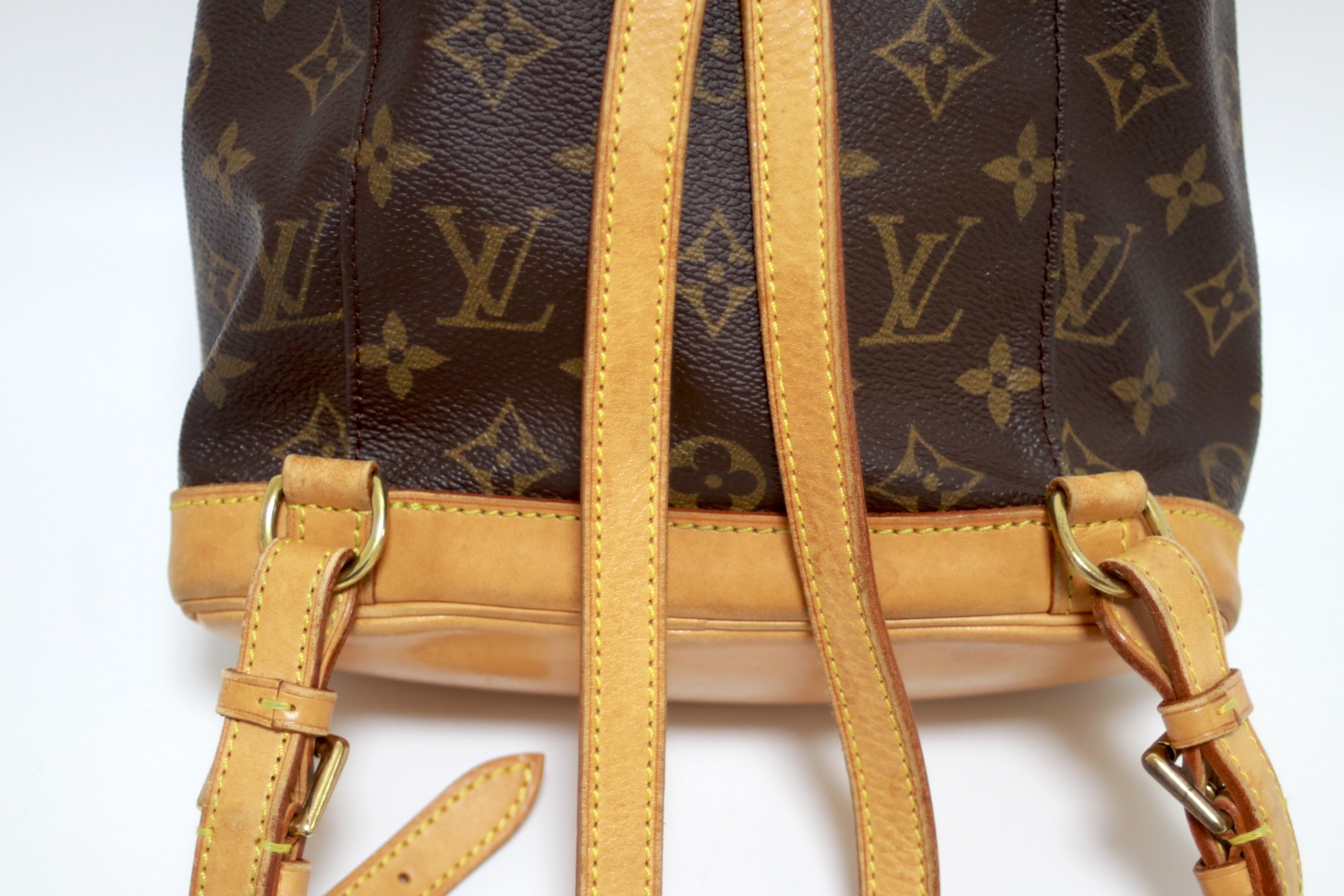 Louis Vuitton Montsouris PM Backpack Used