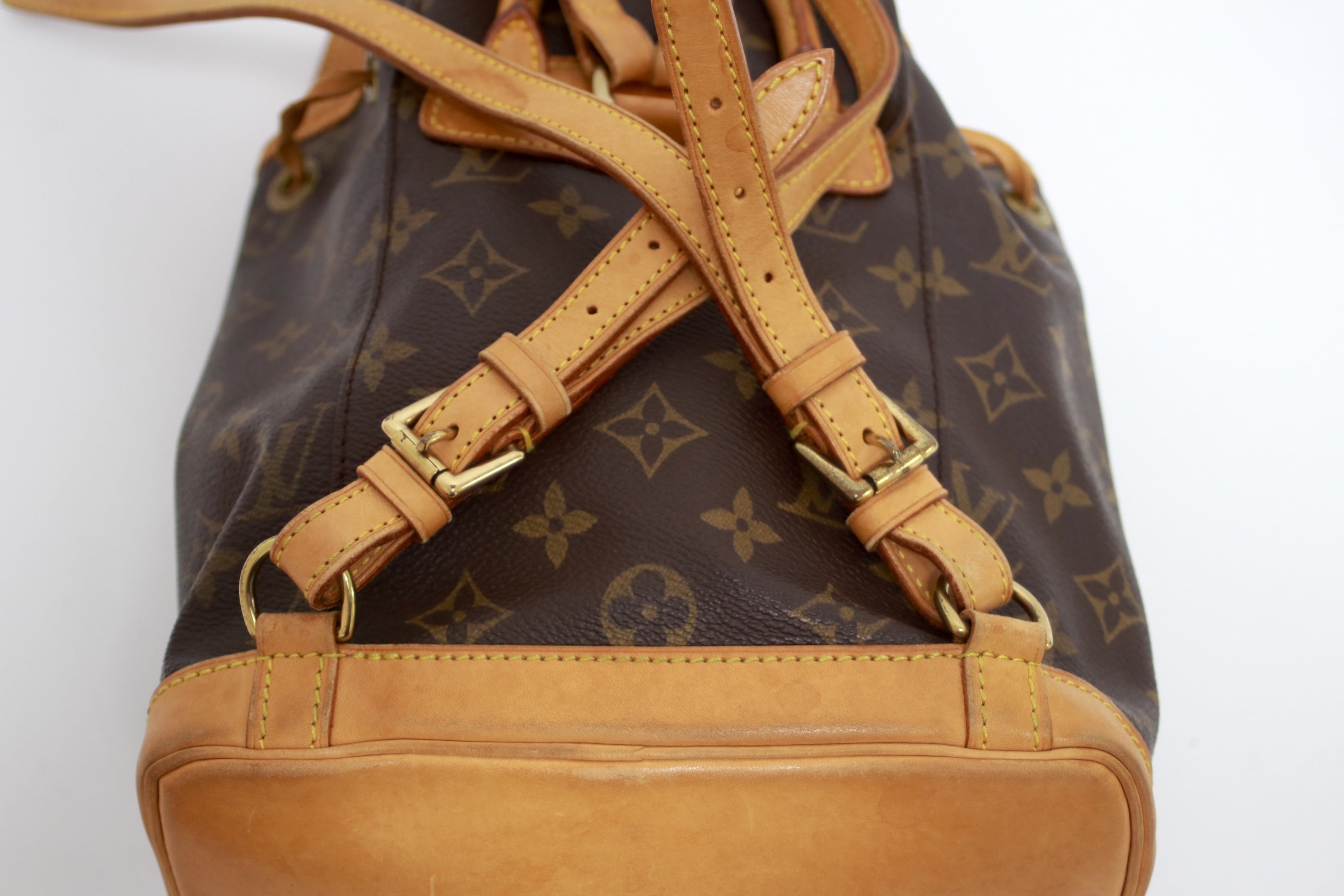 Louis Vuitton Montsouris PM Backpack Used