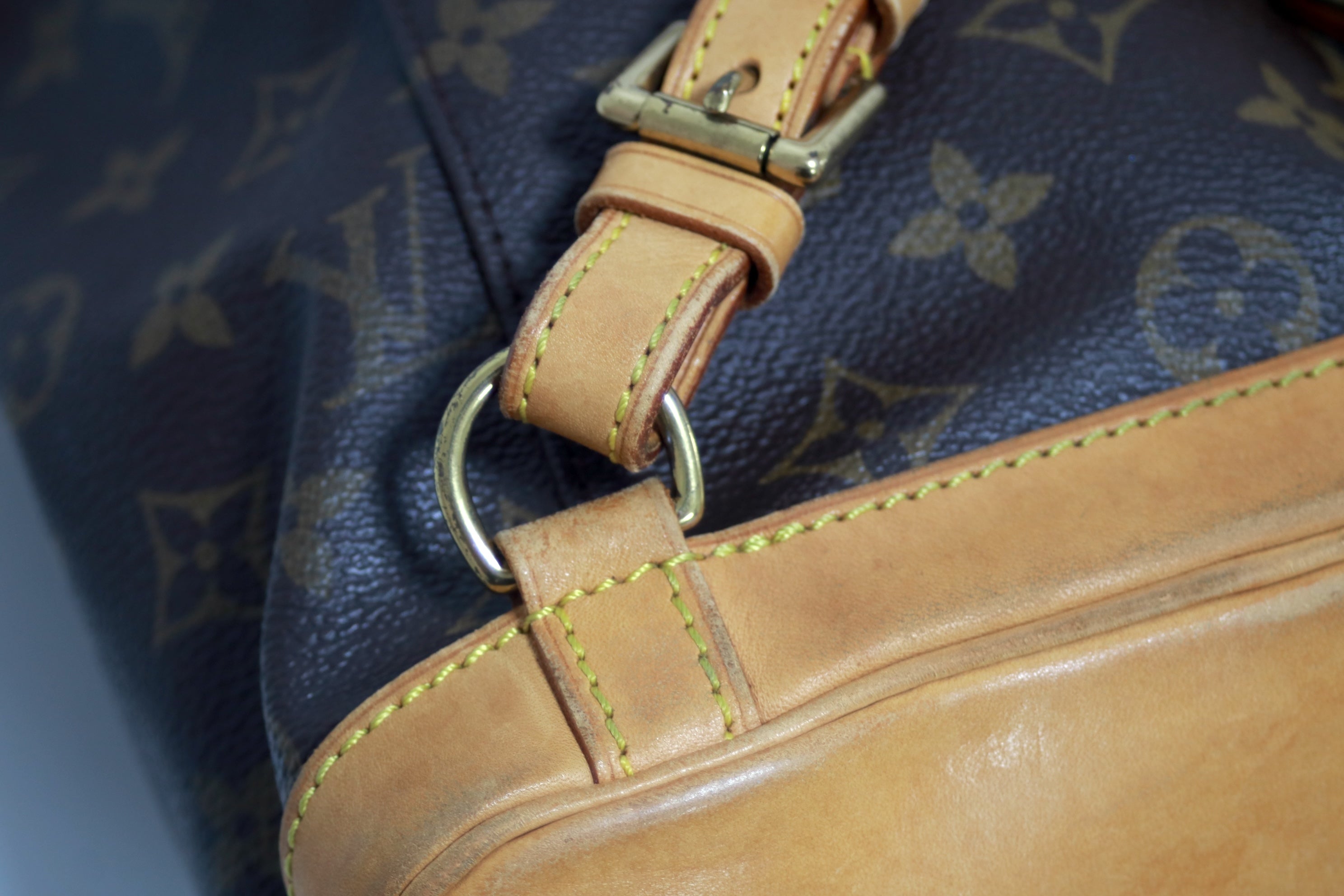 Louis Vuitton Montsouris PM Backpack Used