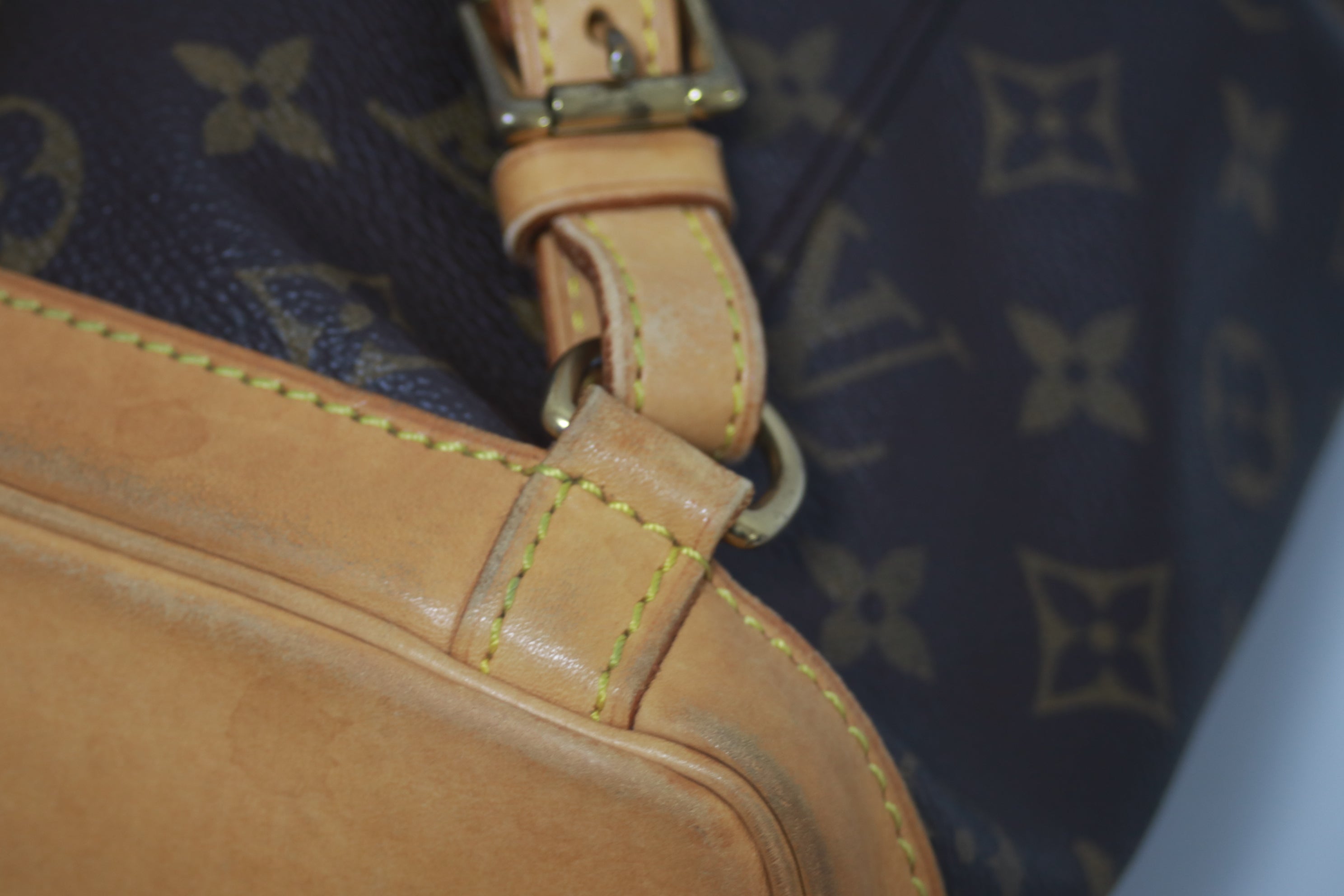 Louis Vuitton Montsouris PM Backpack Used