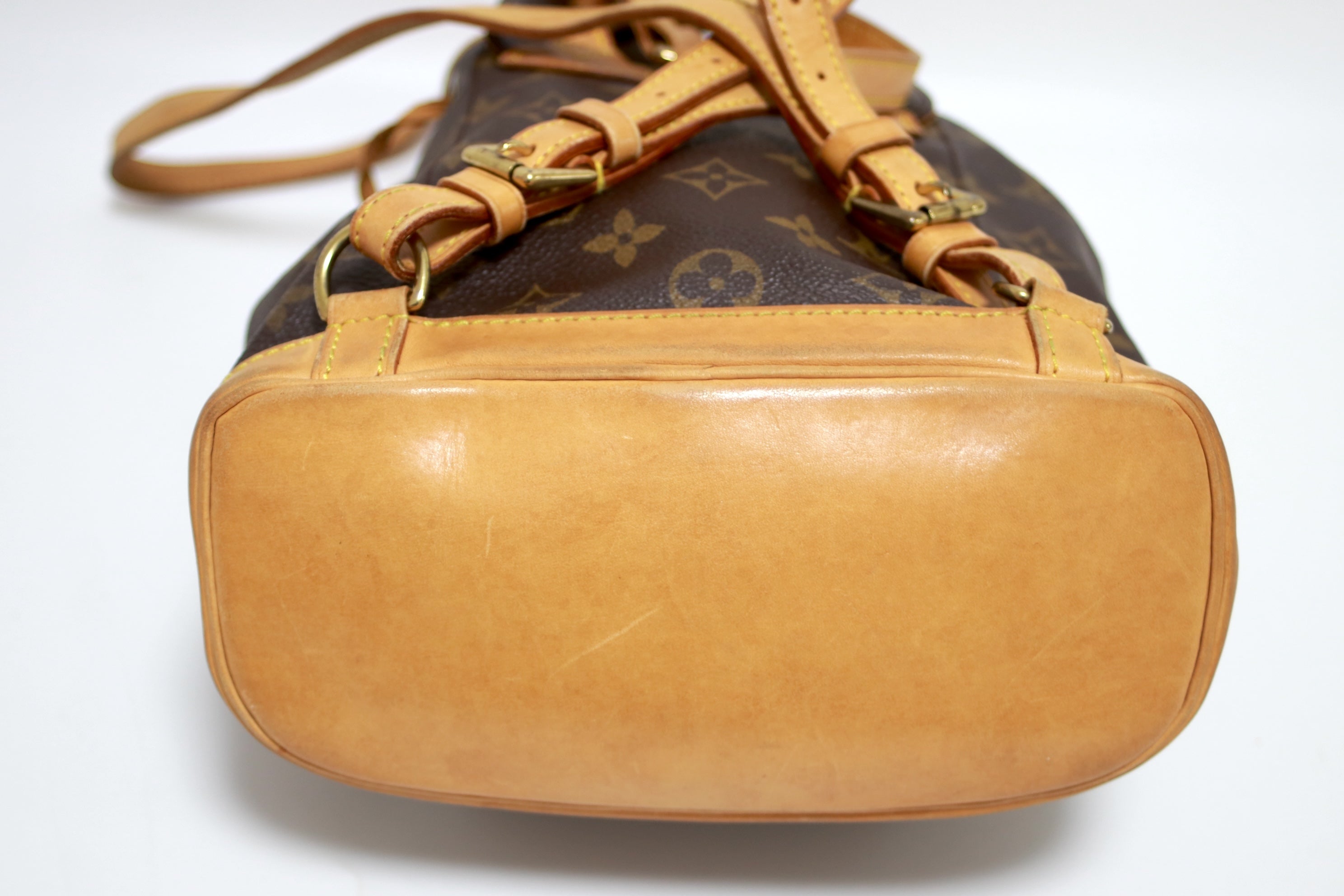 Louis Vuitton Montsouris PM Backpack Used