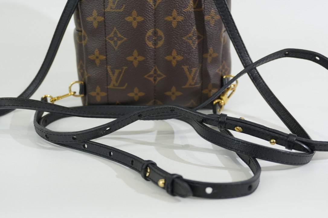 Pre-owned Louis Vuitton Monogram Mini Palmspring Backpack