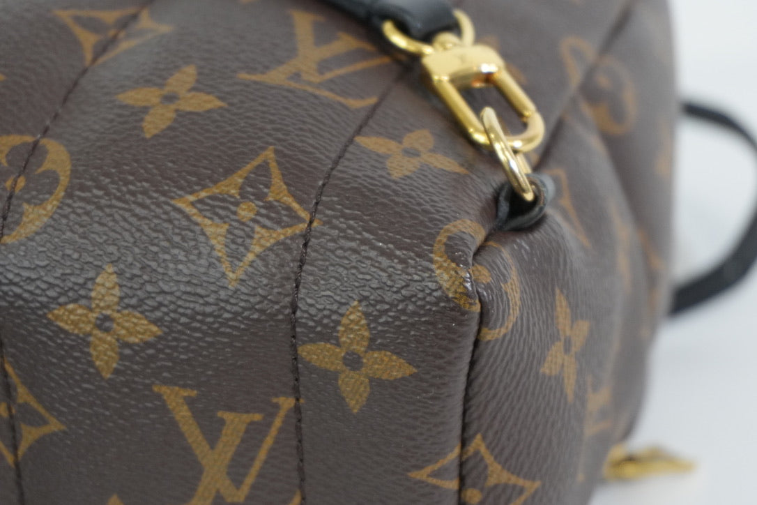 Pre-owned Louis Vuitton Monogram Mini Palmspring Backpack