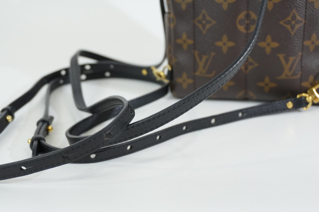 Pre-owned Louis Vuitton Monogram Mini Palmspring Backpack