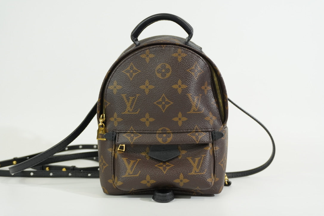 Pre-owned Louis Vuitton Monogram Mini Palmspring Backpack